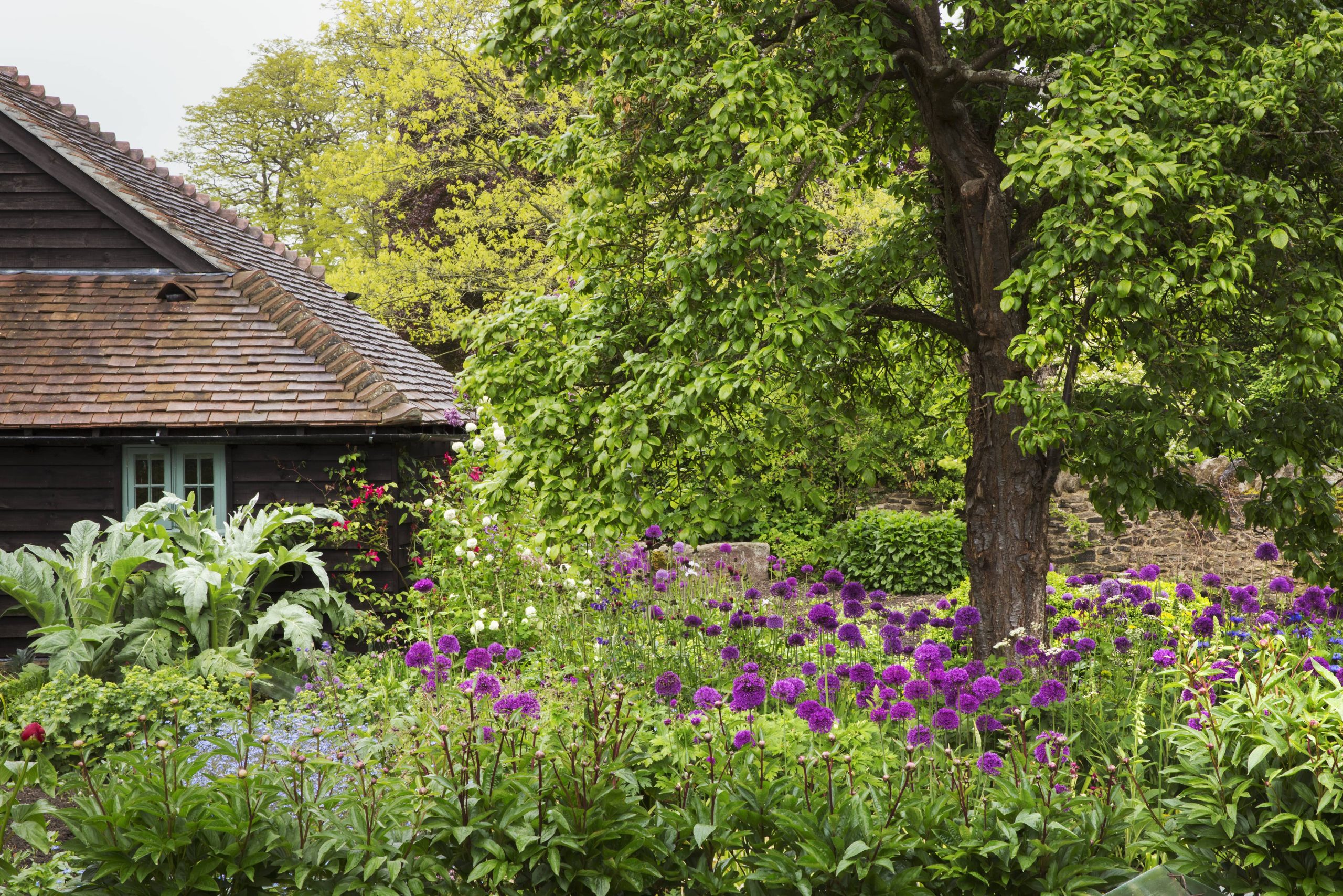 Aromatic Plants Infuse Scent into Your Serene Garden