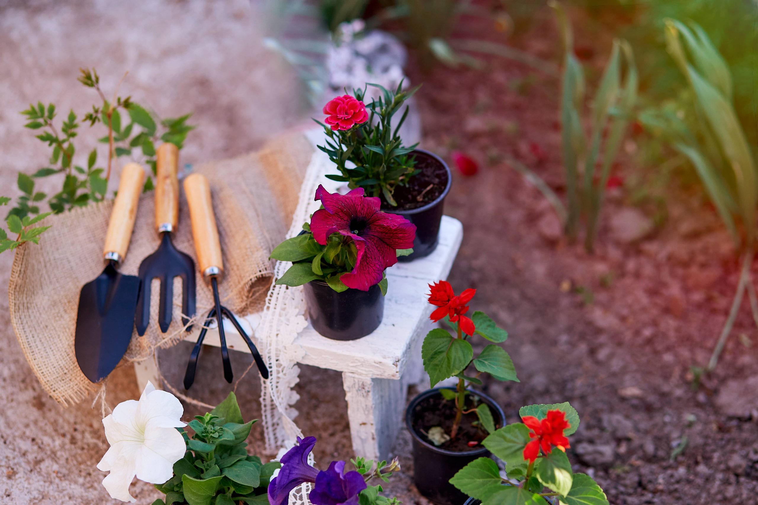 Building Your Own Garden Shed: Innovative Storage Ideas