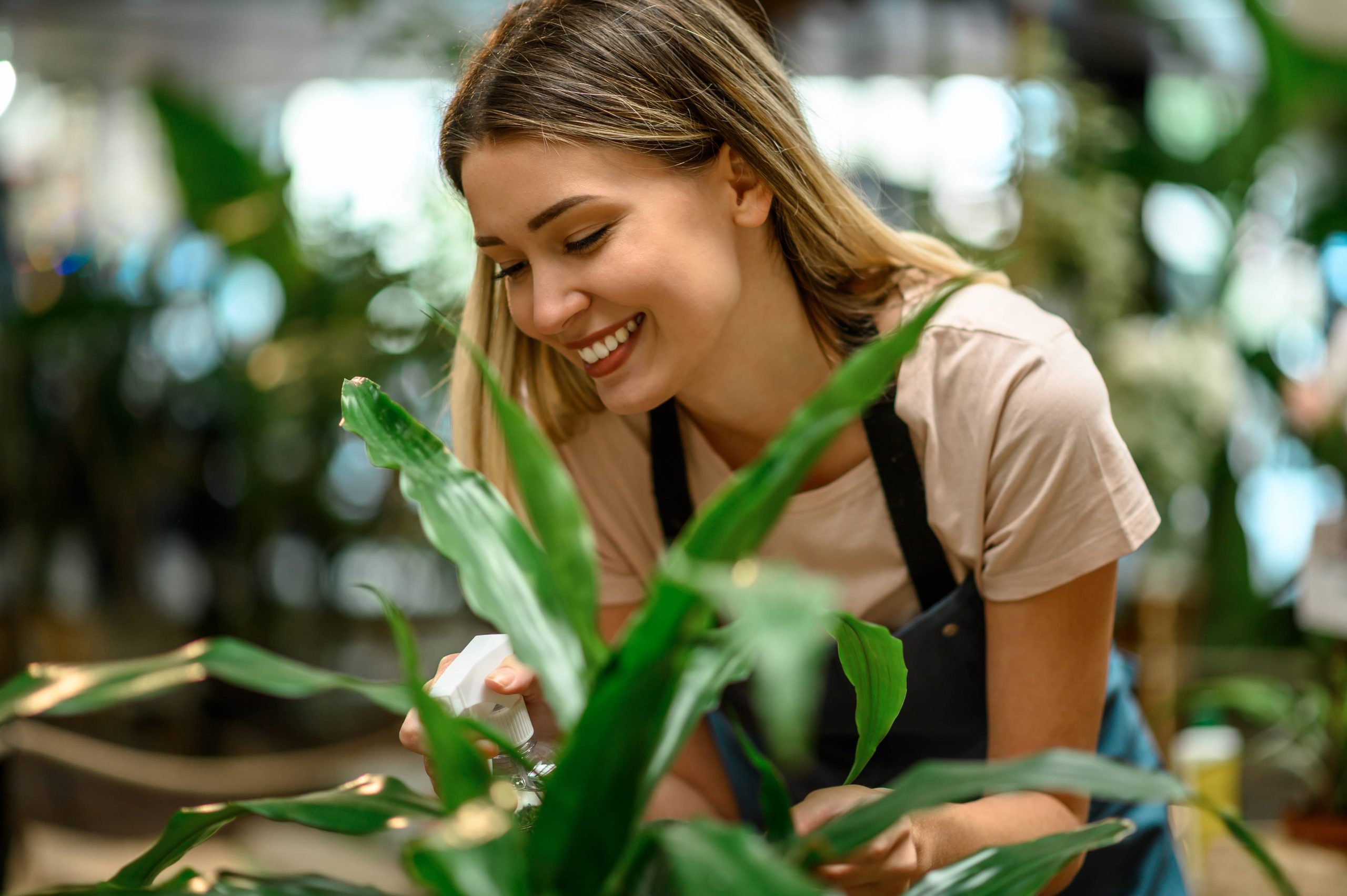 Caring for Evergreen Plants in Your Serene Garden