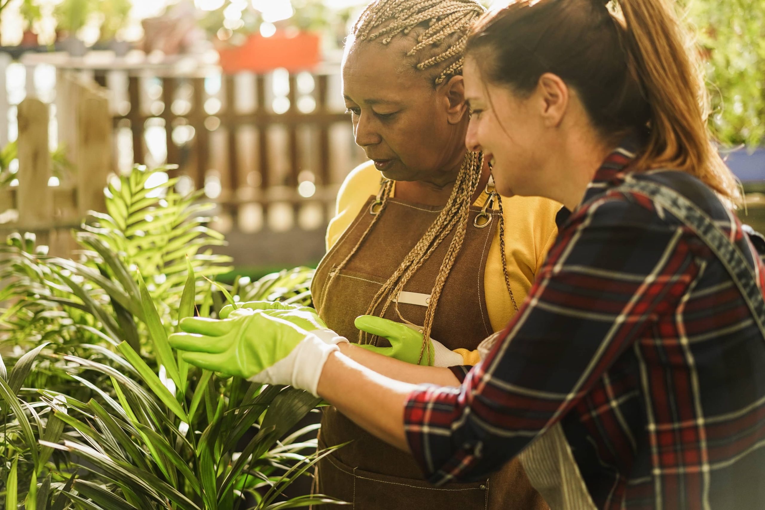 Companion Planting Naturally Enhances Garden Health