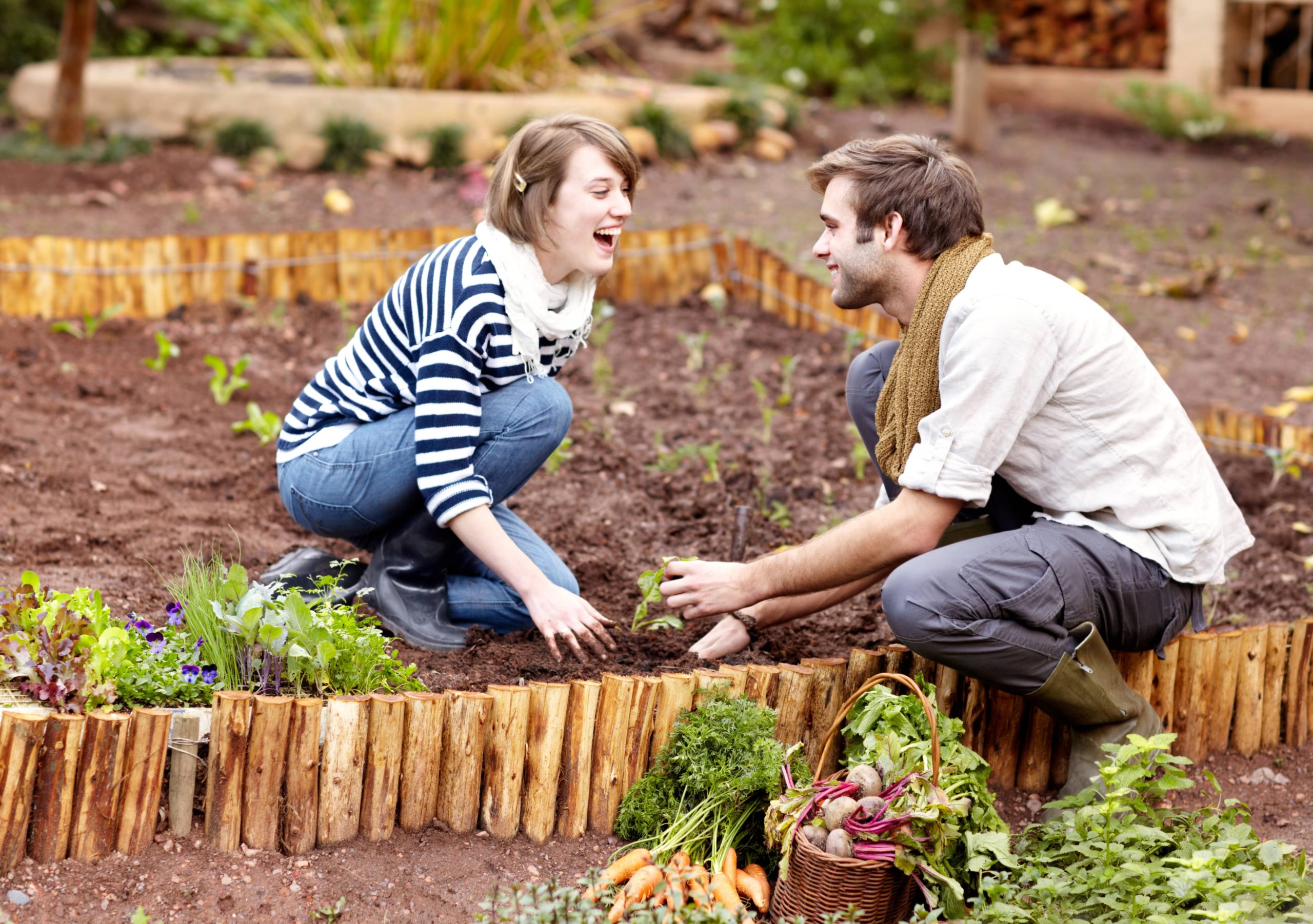 Craft Your Own Garden Benches Using Recycled Materials