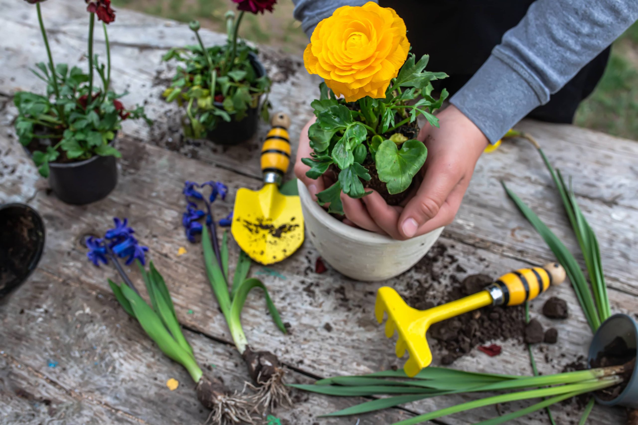 Create Eco-Friendly Illumination with DIY Solar Garden Lights