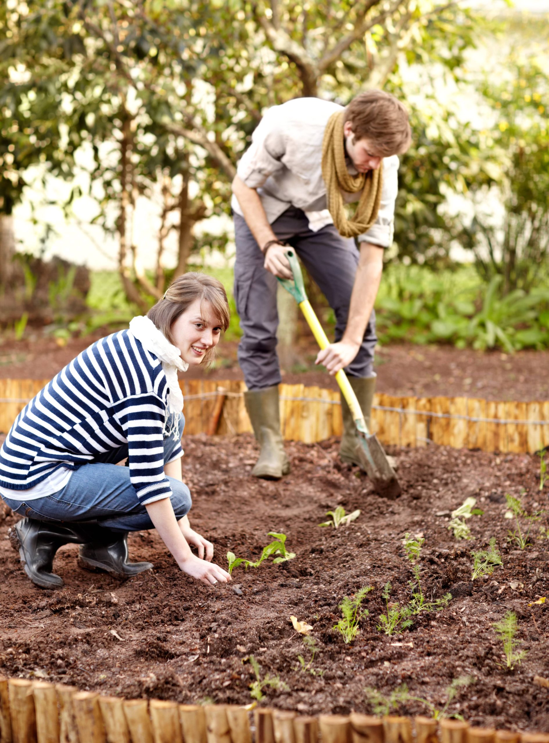 Create a Flexible and Serene DIY Container Garden