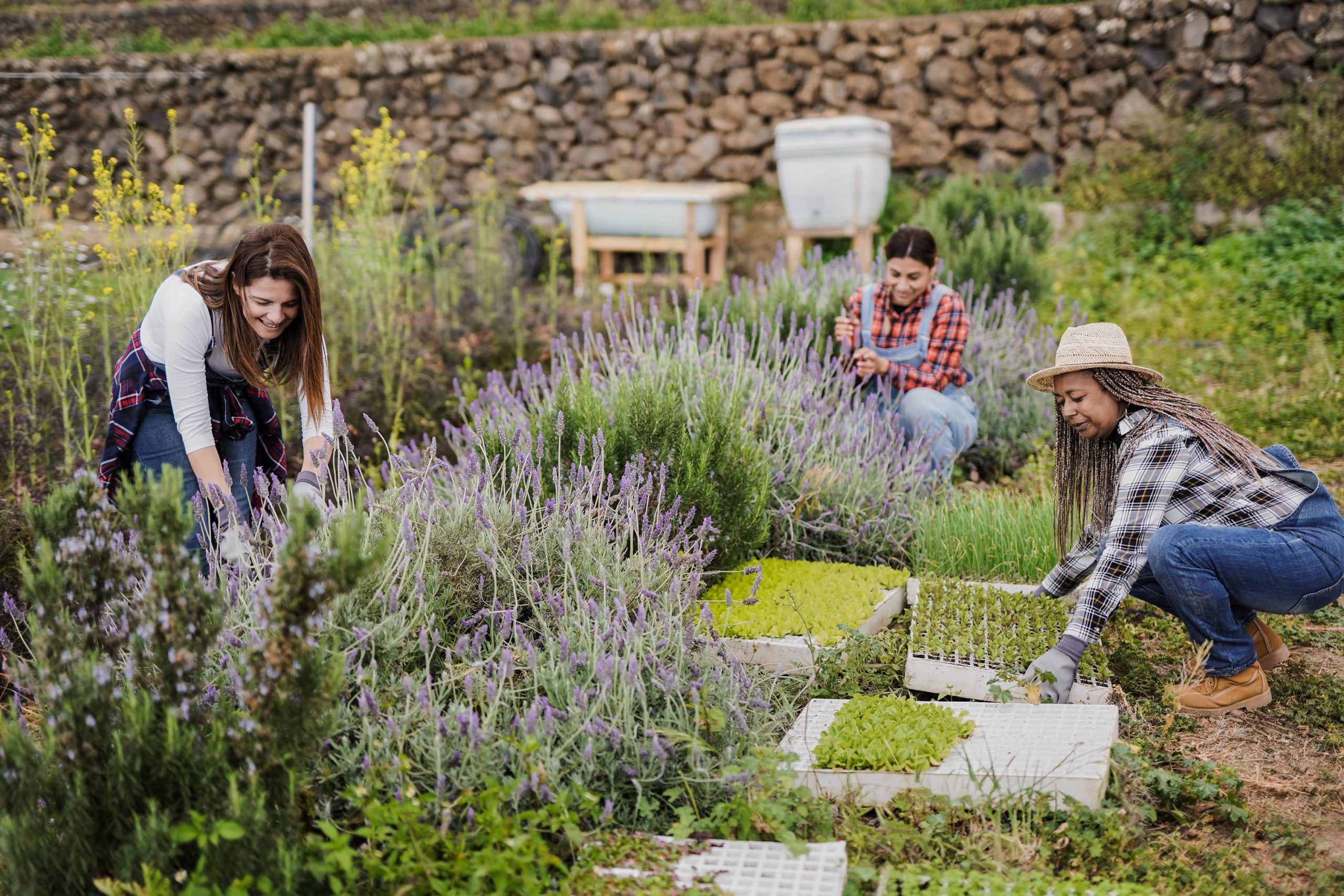 Create a Tranquil and Romantic Garden for Evening Relaxation