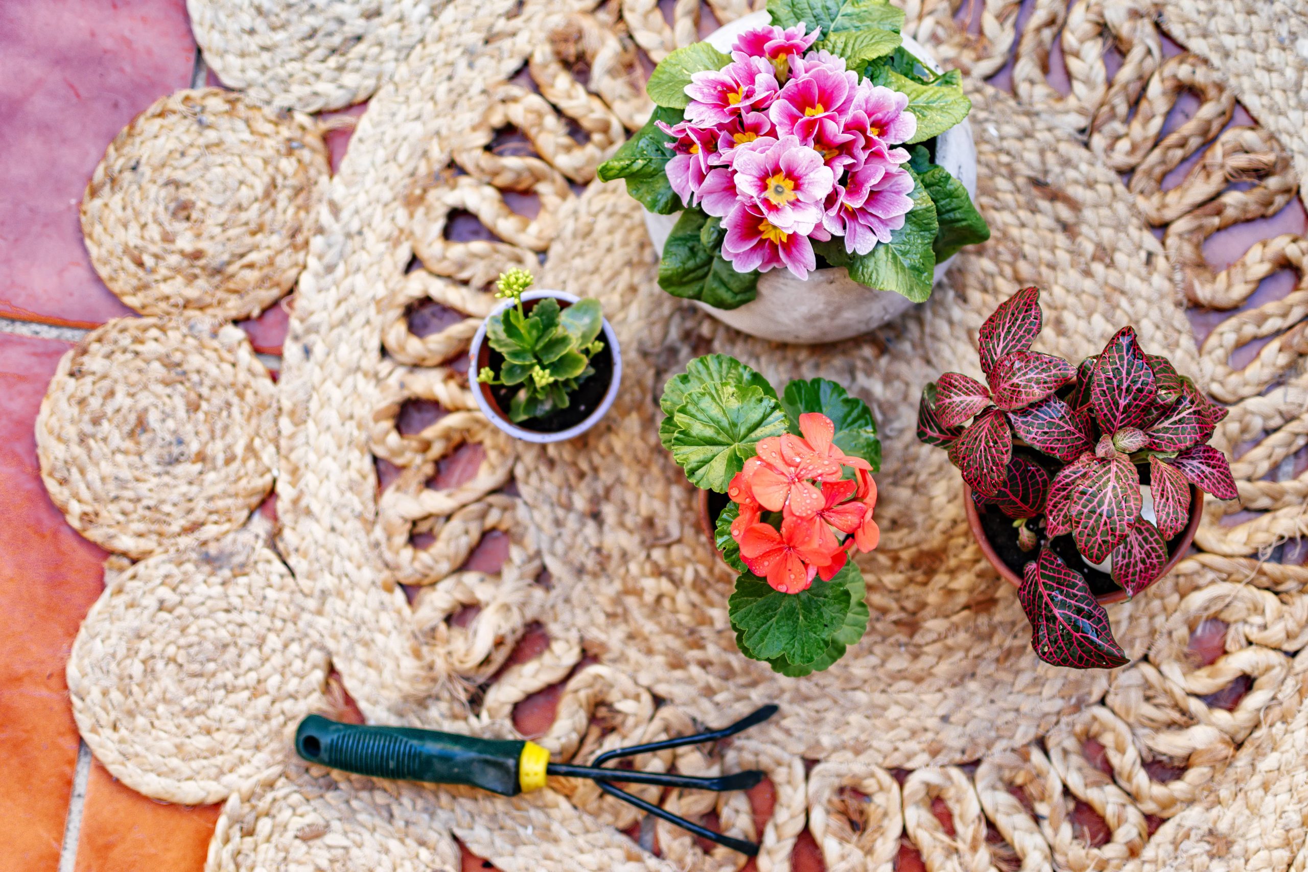 Creating a DIY Rock Garden That Is Natural and Serene