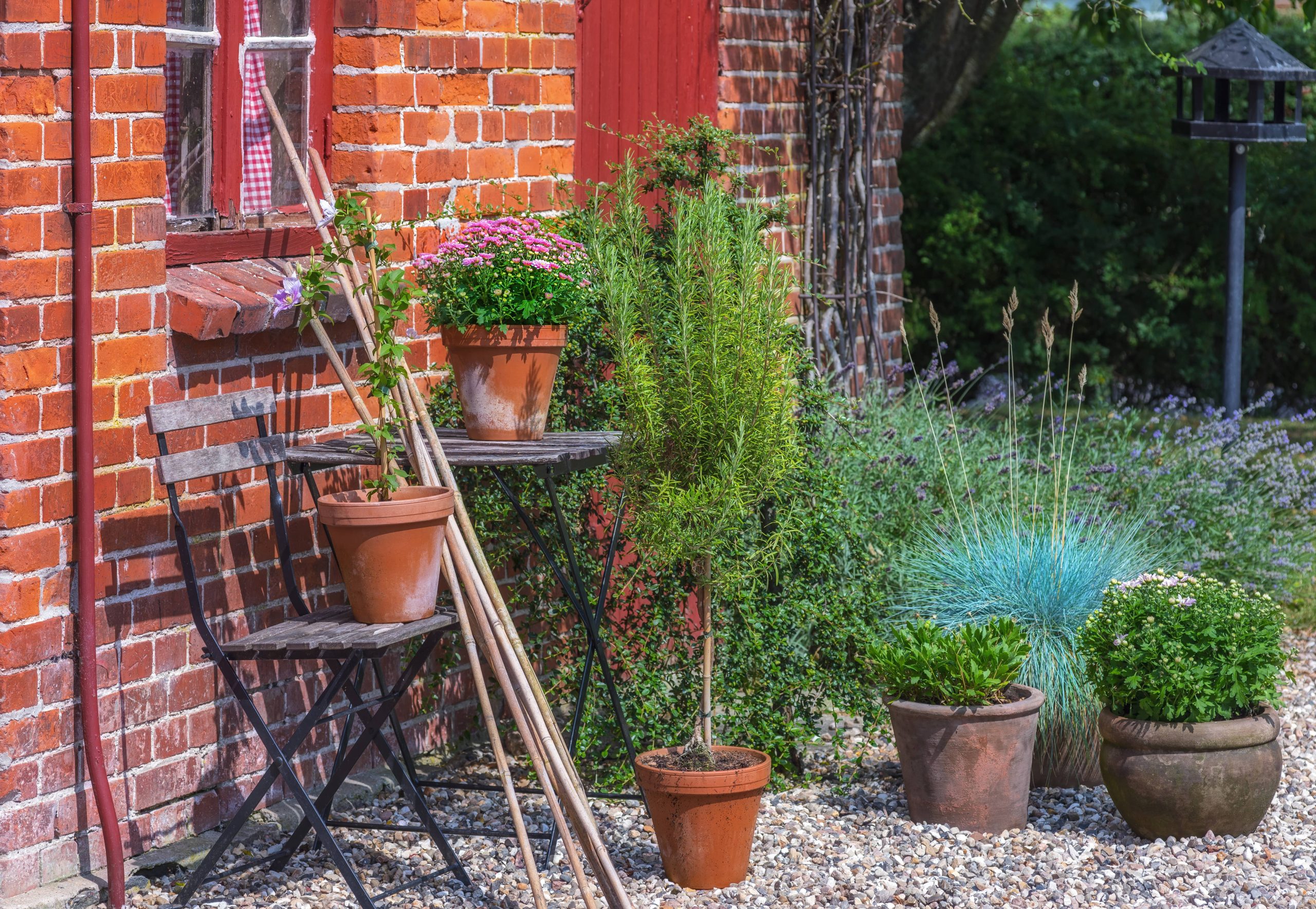 Creating a Serene Garden that Attracts Butterflies