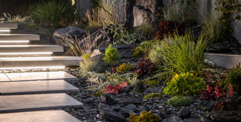 Creating a Tranquil Garden that Welcomes Wildlife