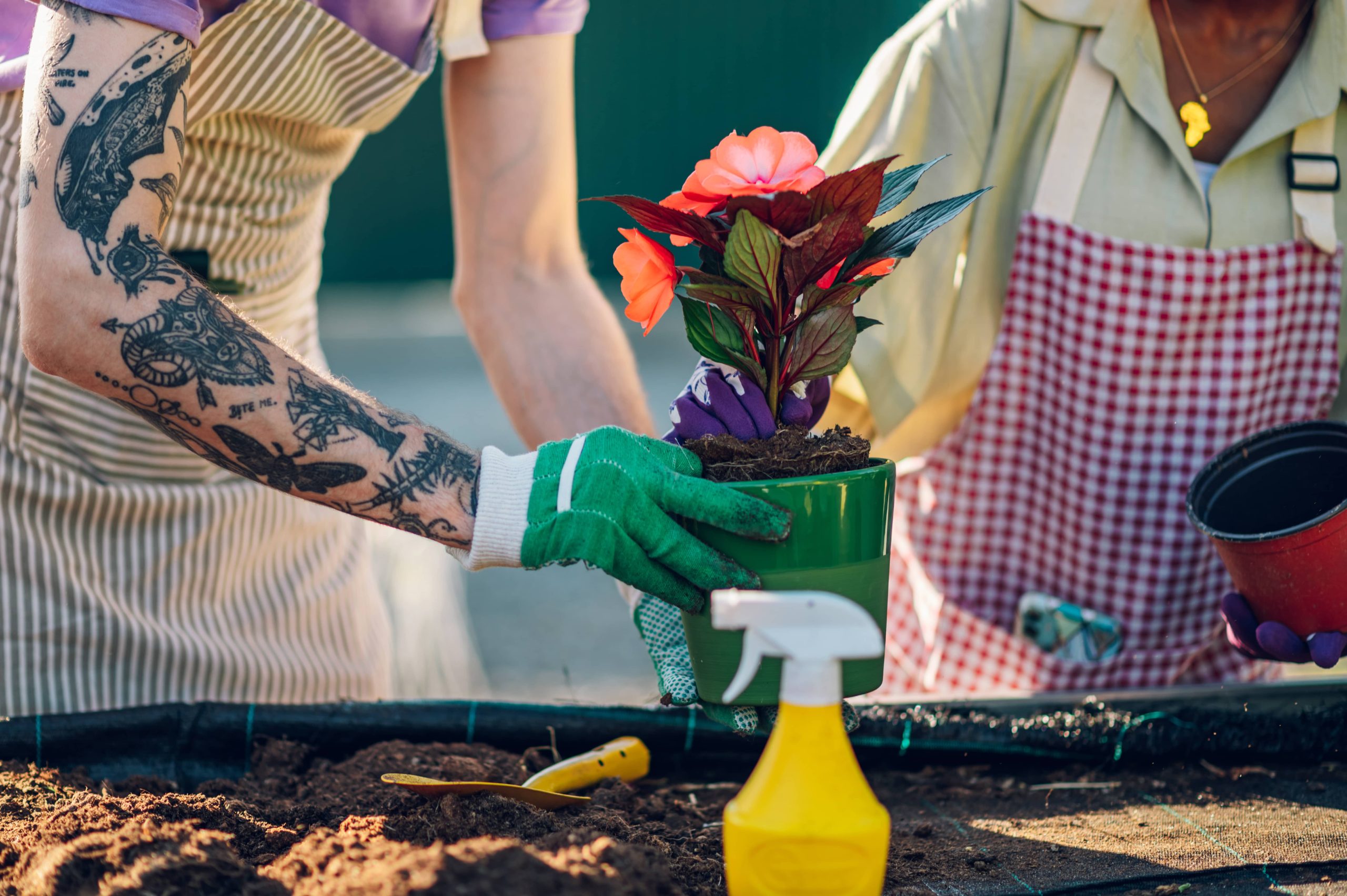 Cultivate Robust Shrubs for a Peaceful and Enduring Garden