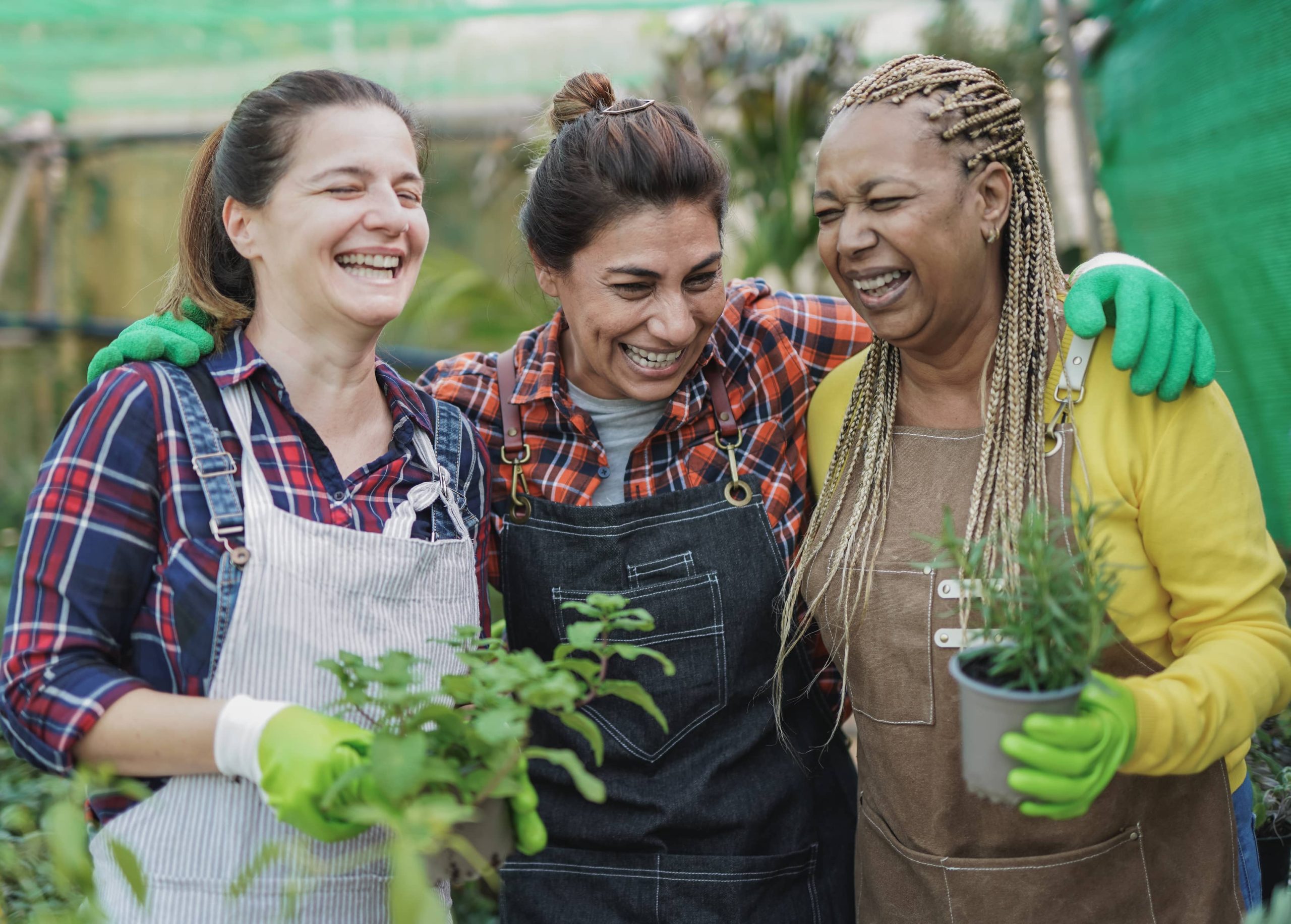 Cultivating Flowering Plants for Year-Round Blooms