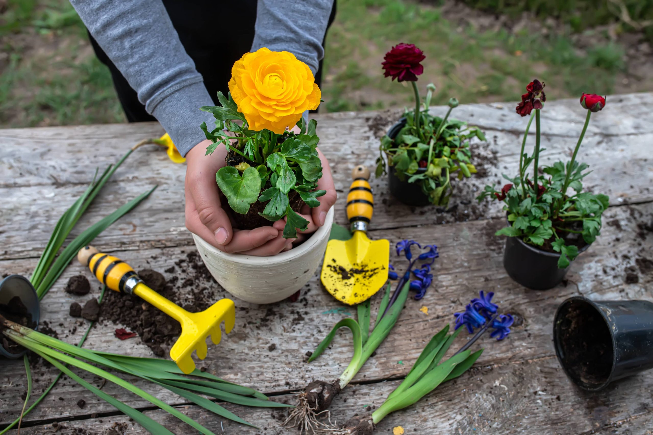 DIY Garden Wind Chimes Bring Sound to Serenity