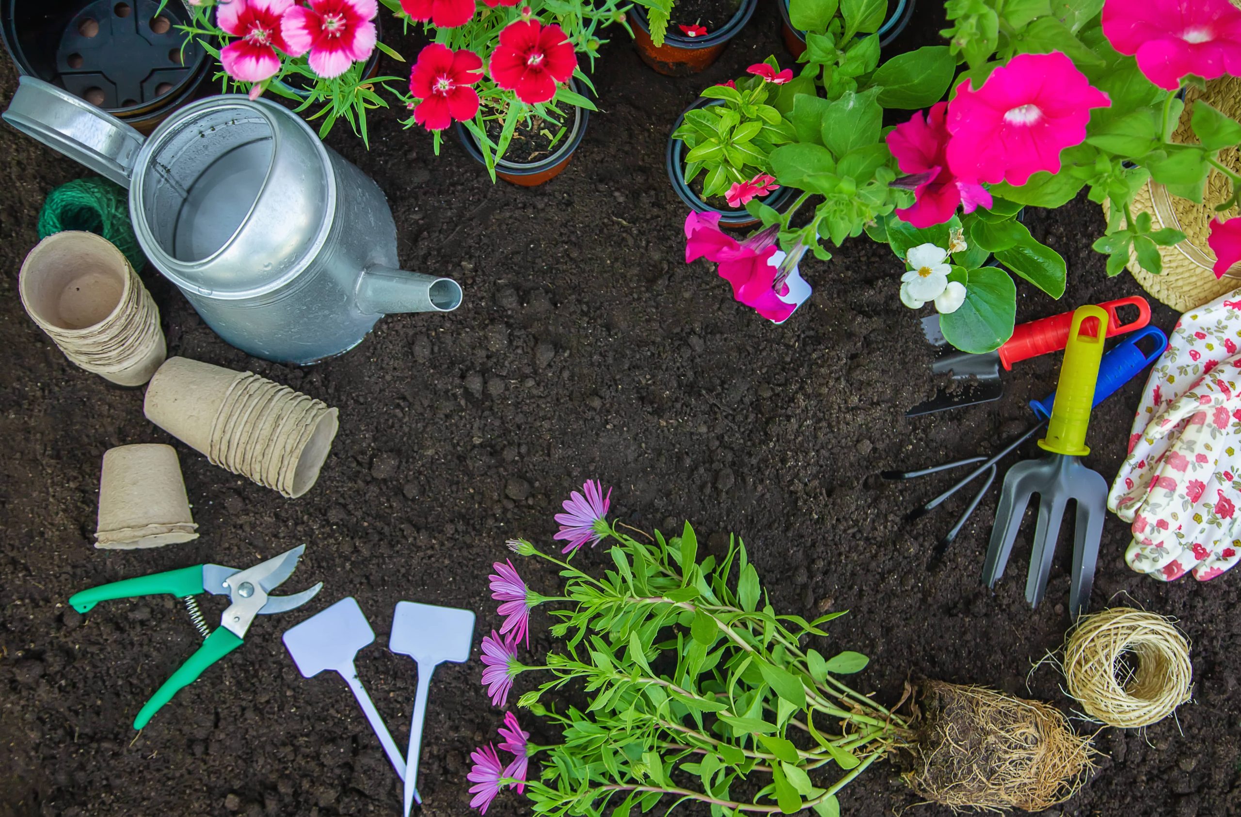 DIY Rain Barrels Offer Sustainable Watering Solutions for Your Garden