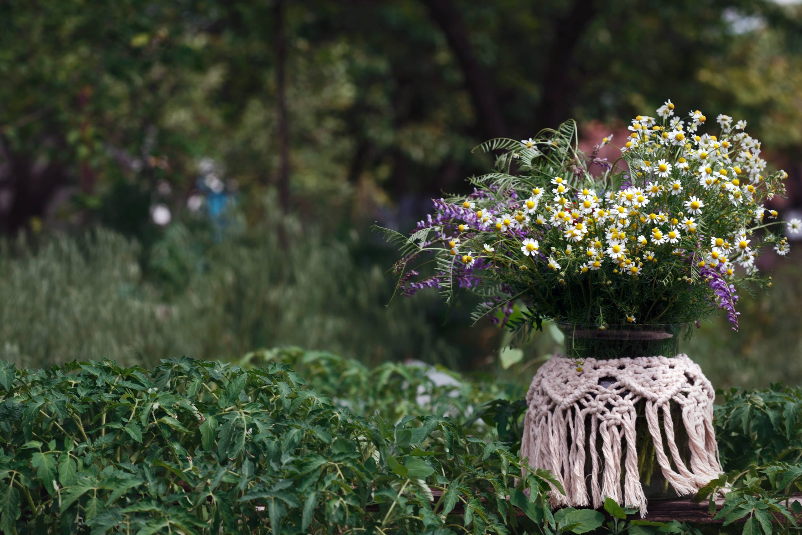 Design a Tranquil Nursery Using Indoor Plants