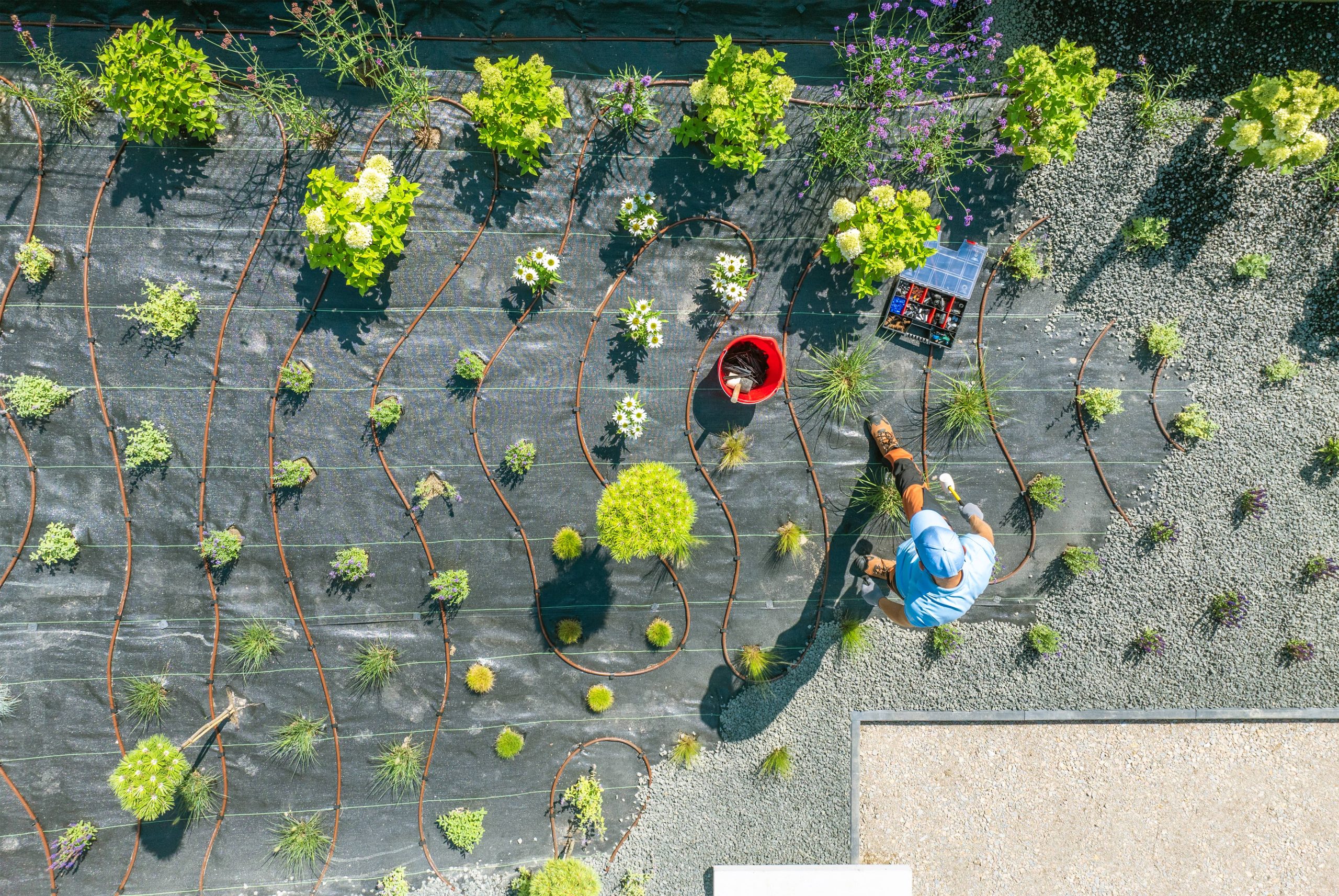 Designing a Tranquil Garden with Drought-Resistant Plants