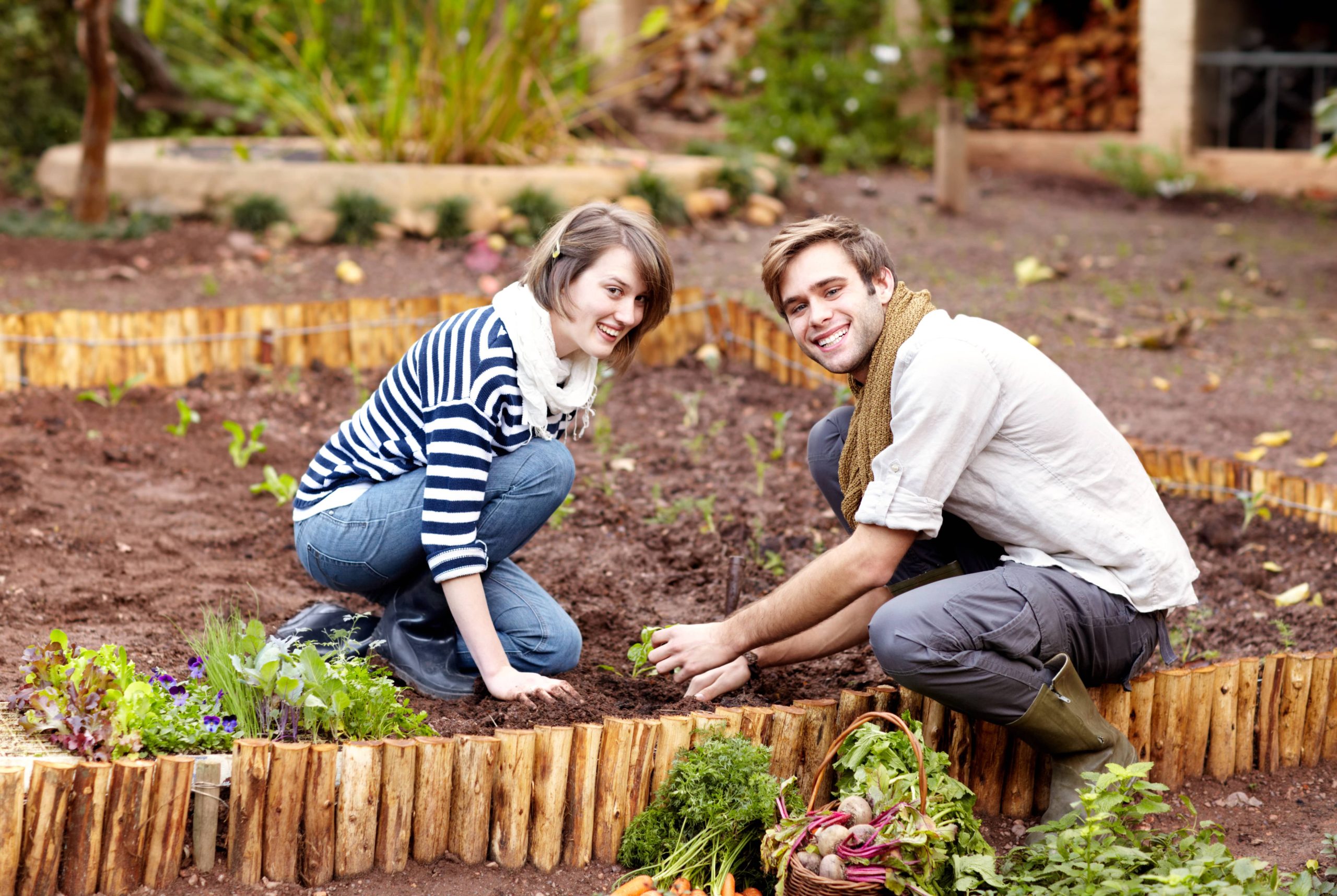 Easy DIY Steps for Building a Raised Herb Garden