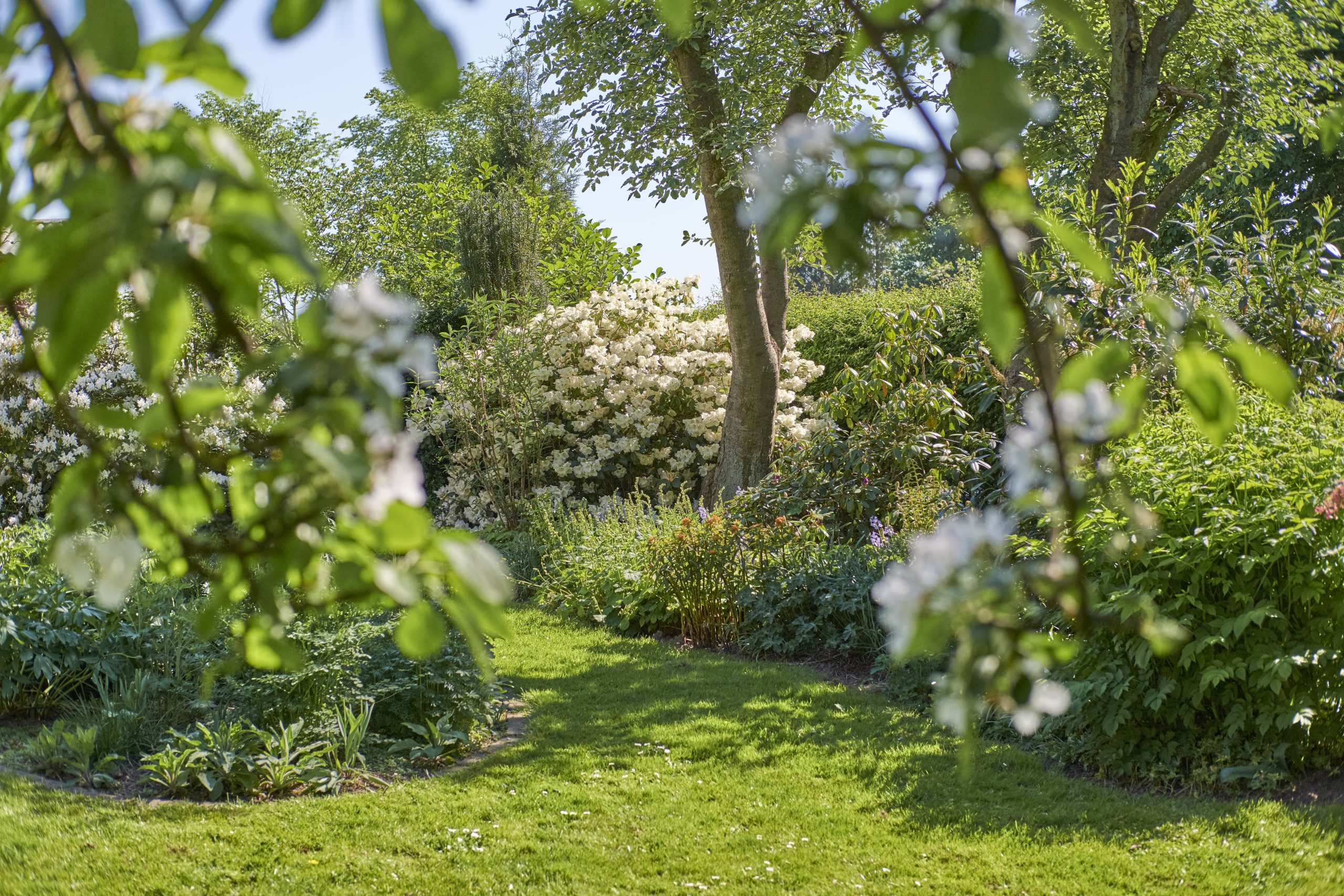 Enhancing Serene Garden Design Through Texture