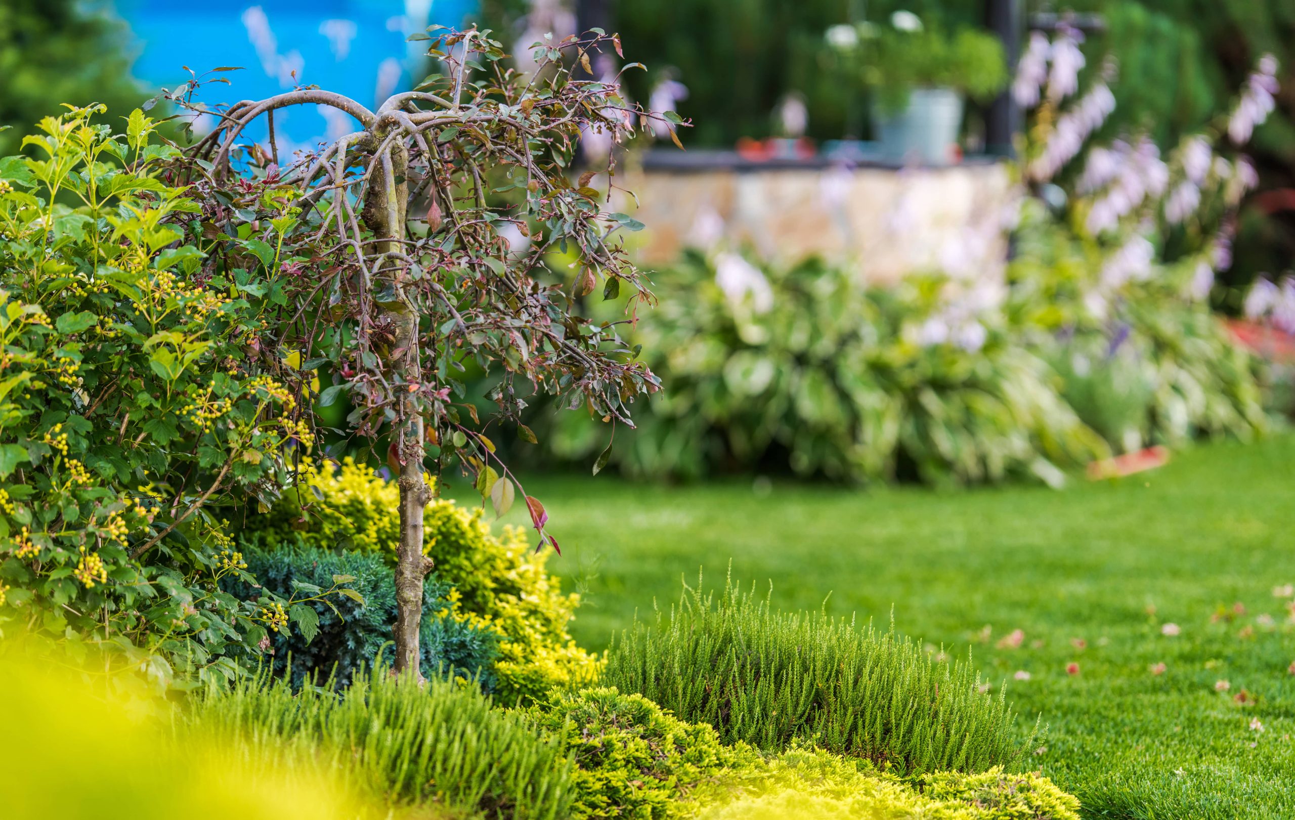 Establishing a Peaceful Indoor Herb Garden