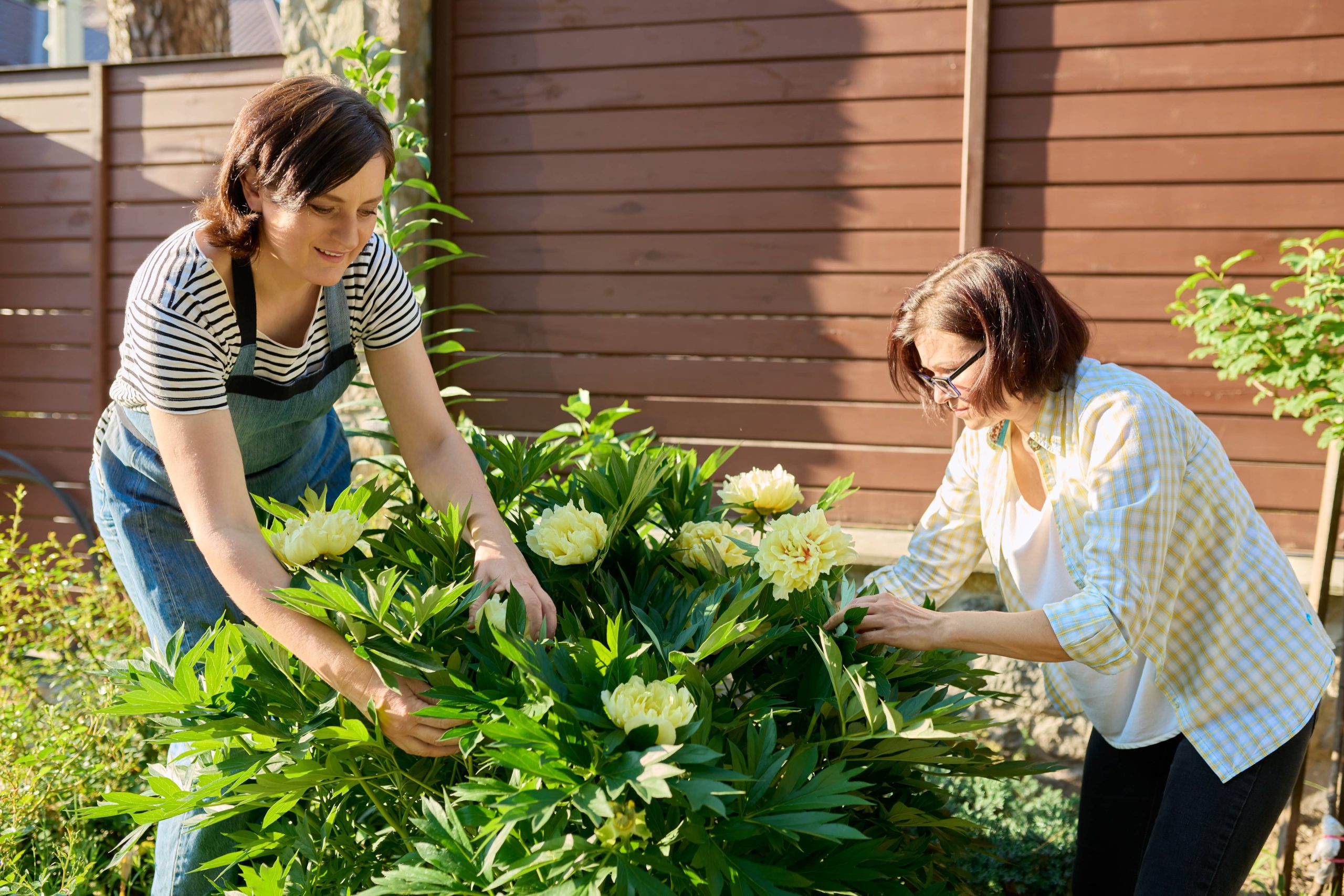 Explore Creative Outdoor Storage Solutions for Organizing Garden Tools