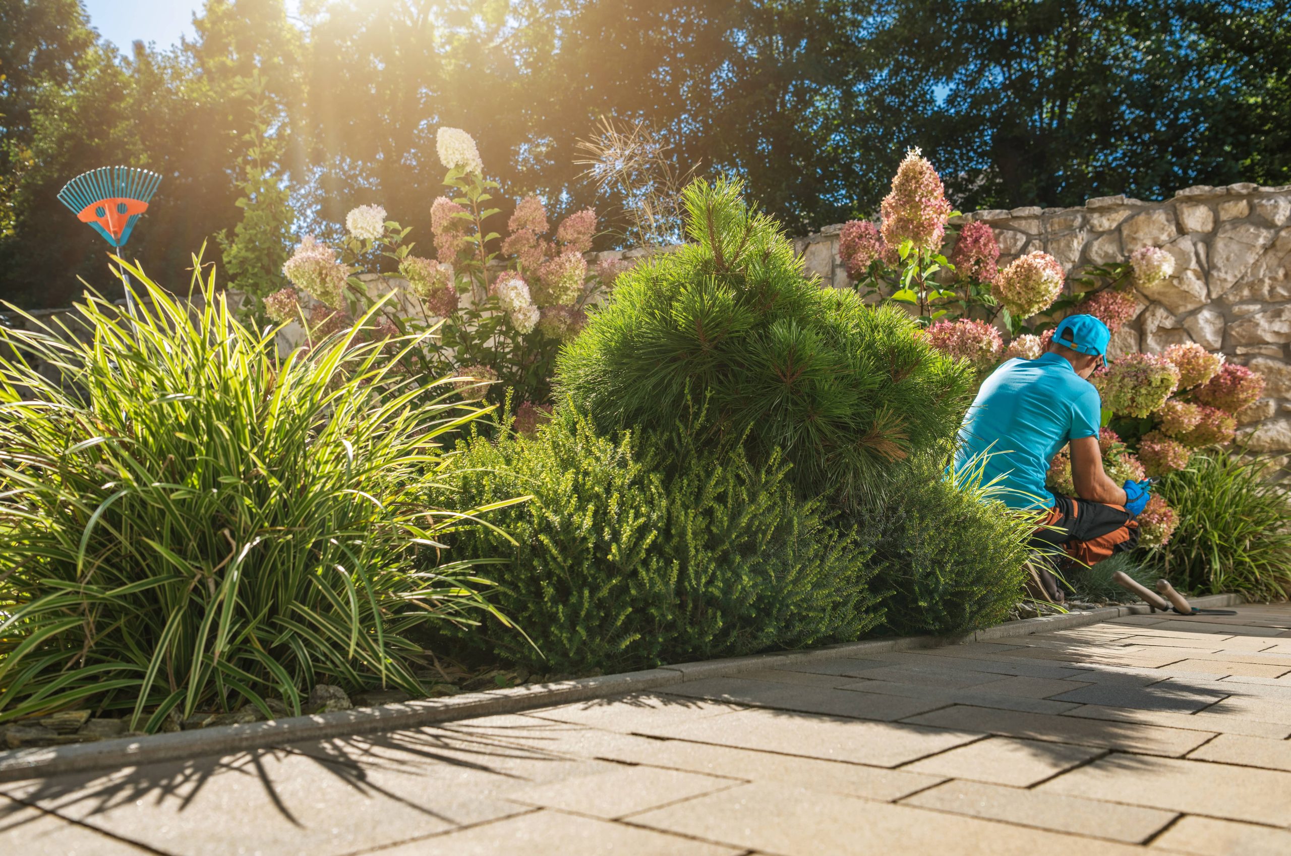 Explore the Intricacies of Garden Design by Incorporating Multi-Level Elements to Enhance Depth and Interest