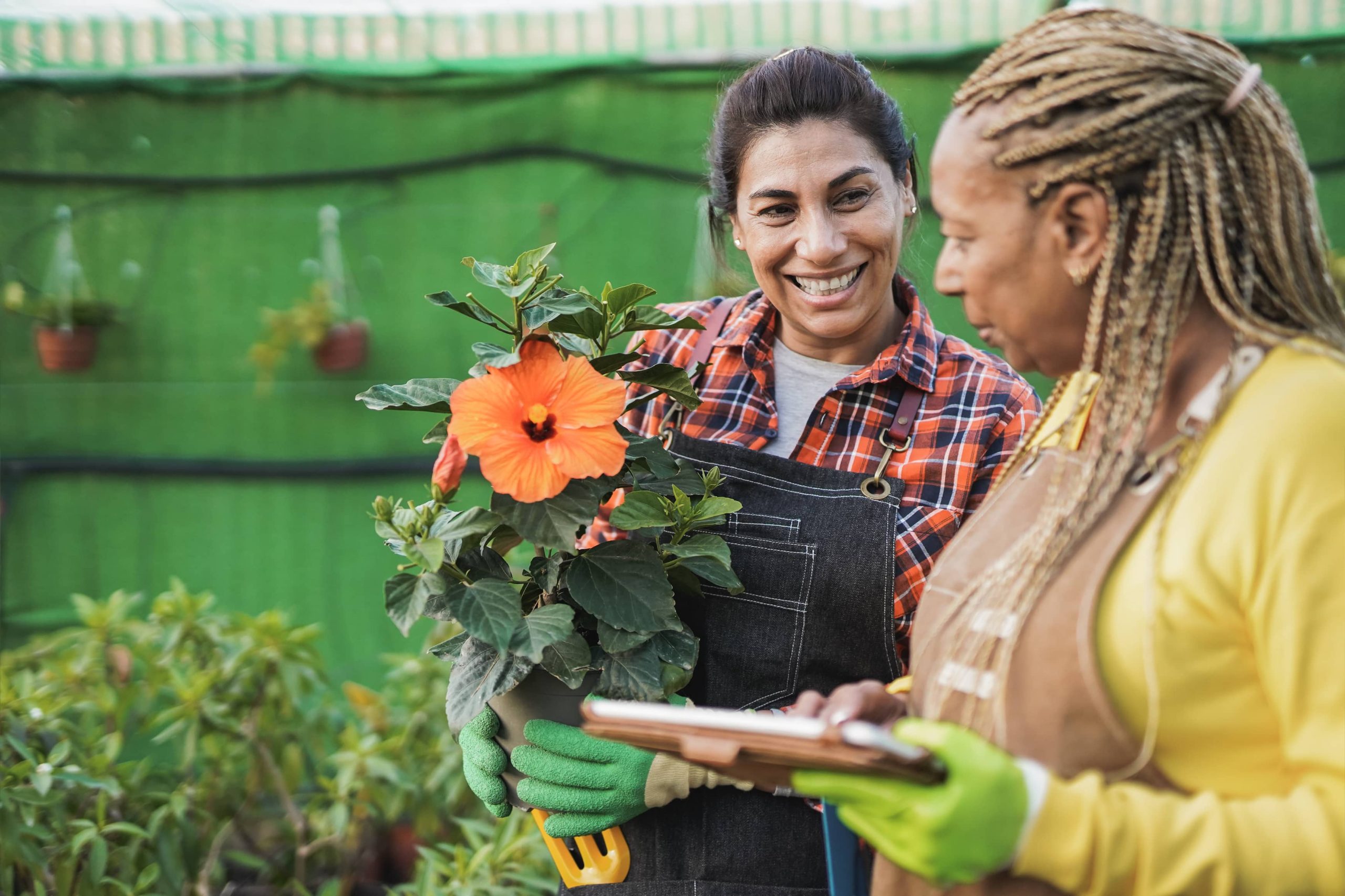 Growing Herbs Indoors and Outdoors: Essential Guidelines