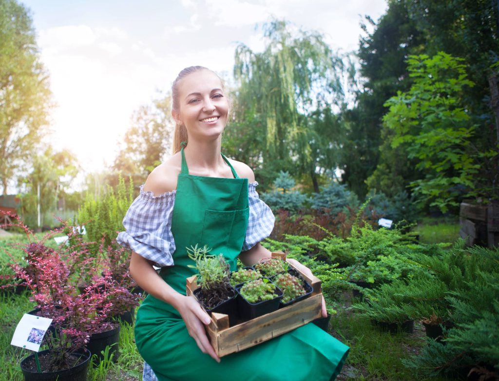 Growing and Caring for Climbing Plants and Vines with Proper Support