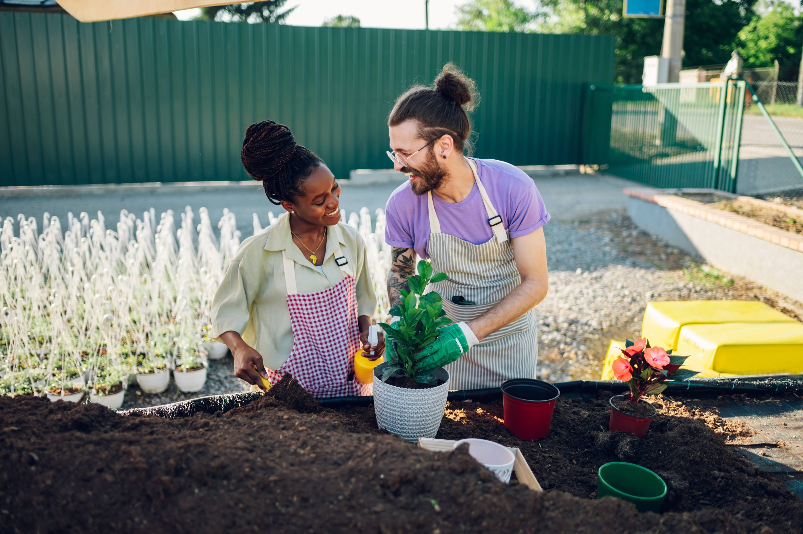 Guidelines for Maintaining Your Garden in Drought Conditions