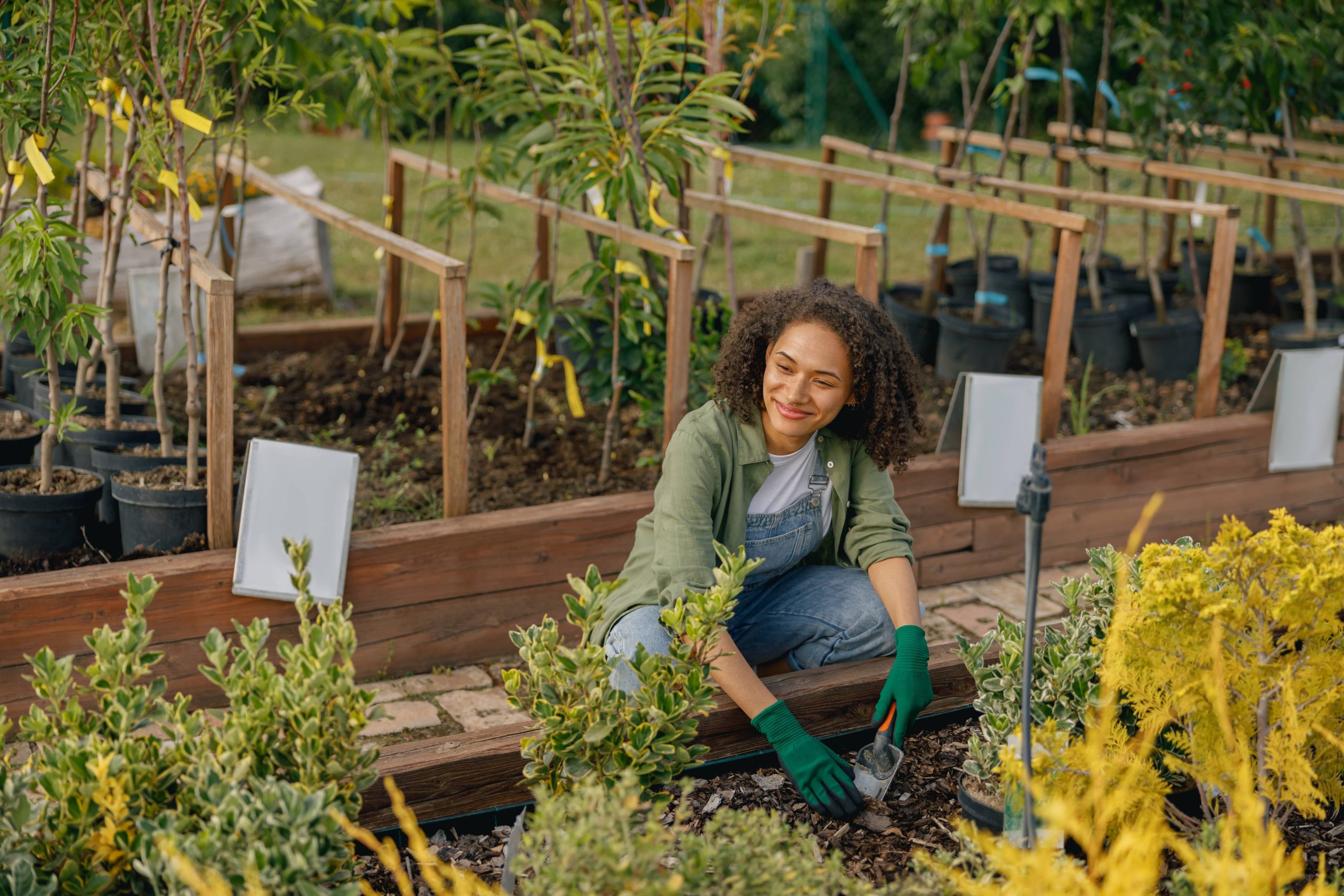 How to Build a DIY Potting Station for Organized Plant Care