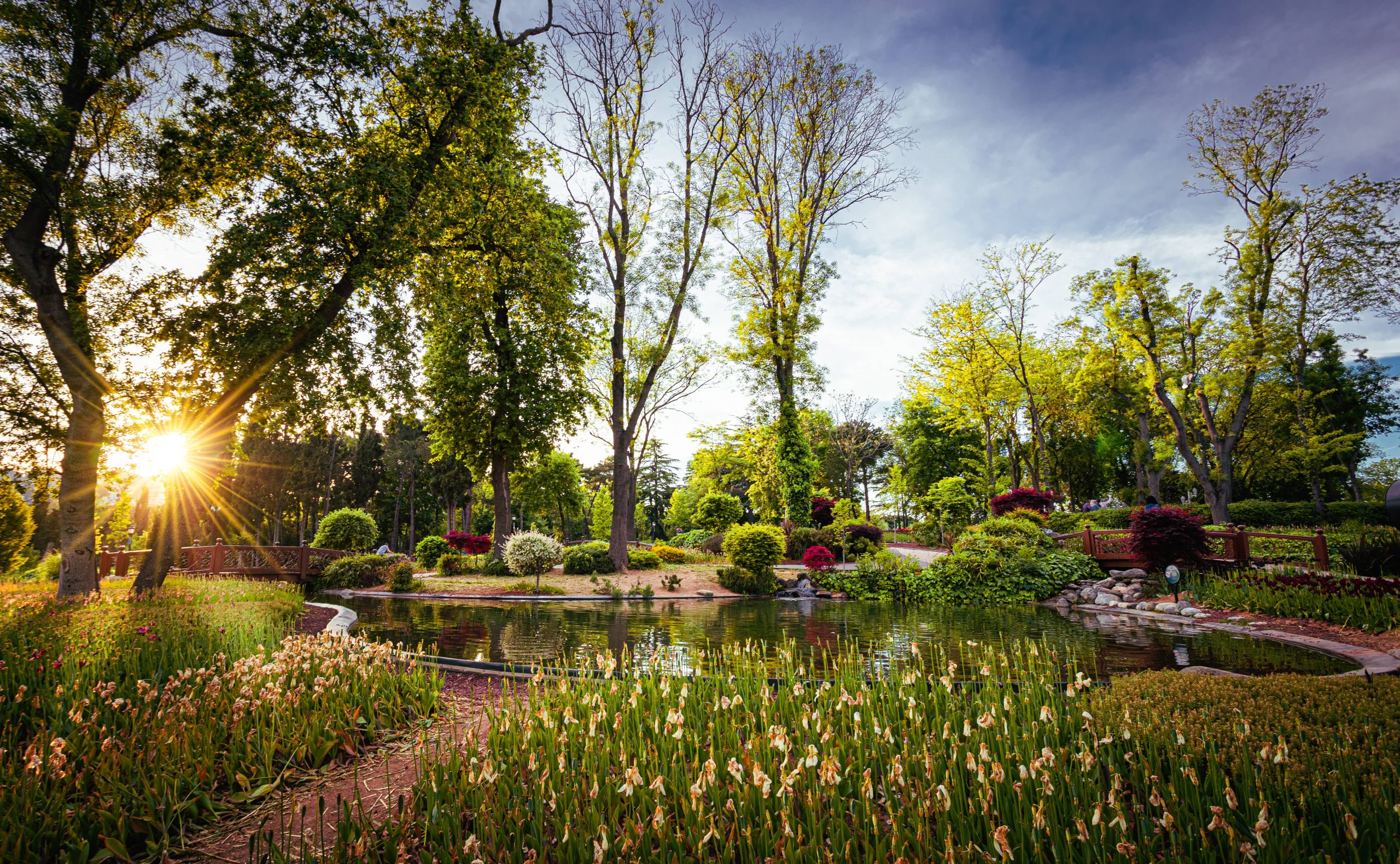 Incorporating Herb Gardens into Your Serene Landscape