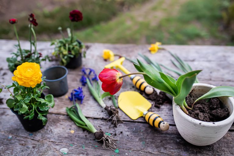 Incorporating Native Plants Creates a Low-Maintenance Serene Garden