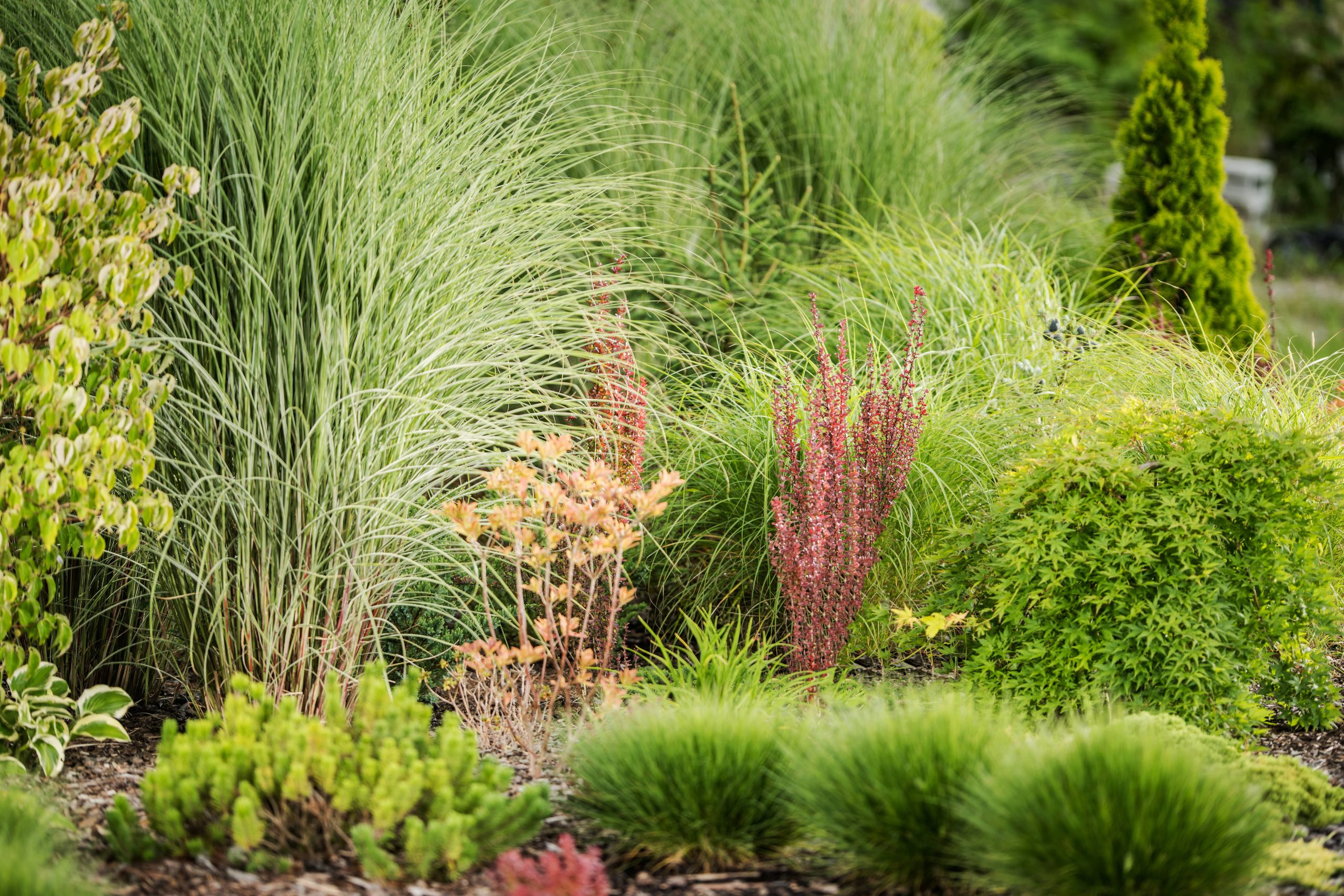 Incorporating Rock Gardens Enhances a Natural Look