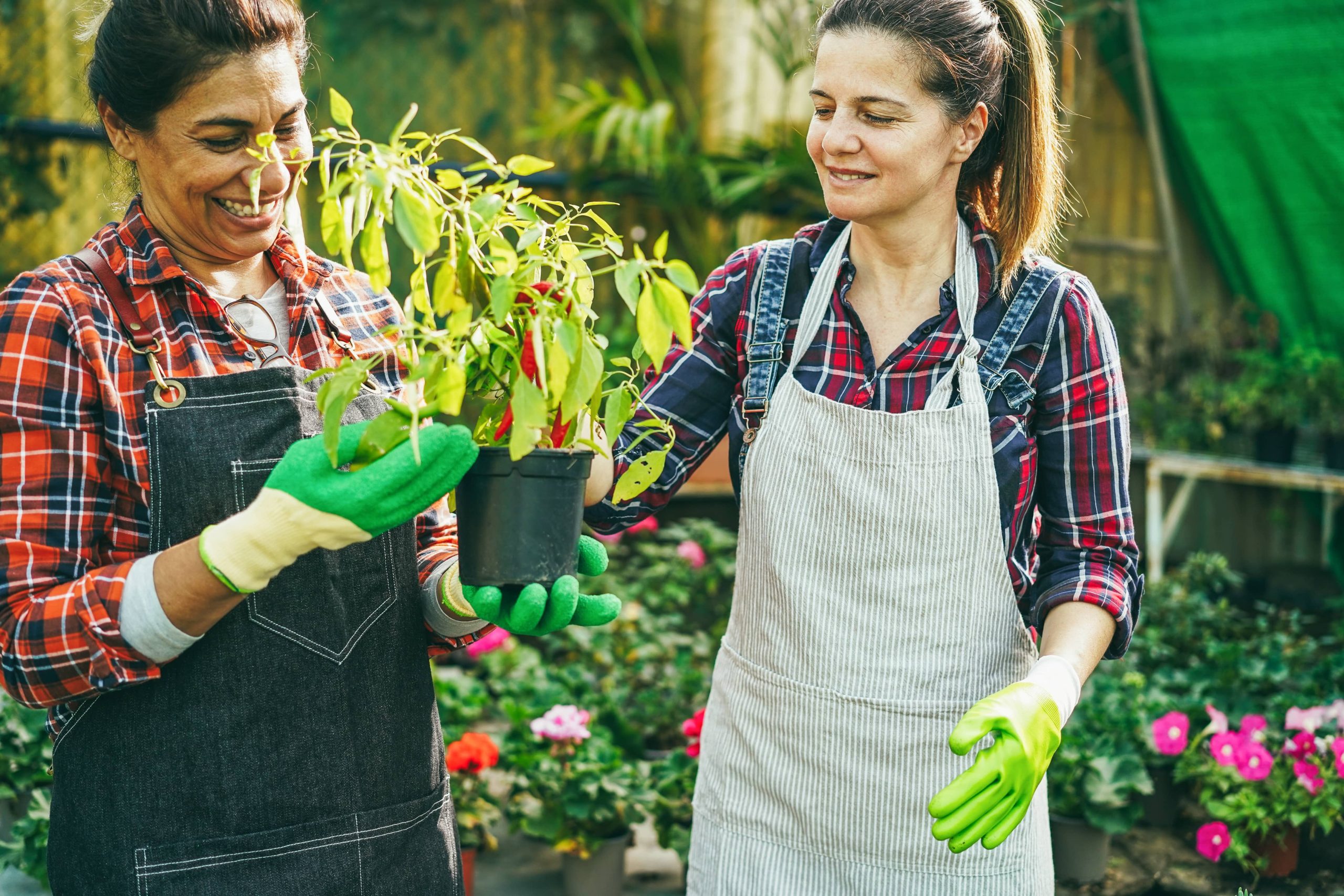 Managing Garden Pests Using Natural Methods