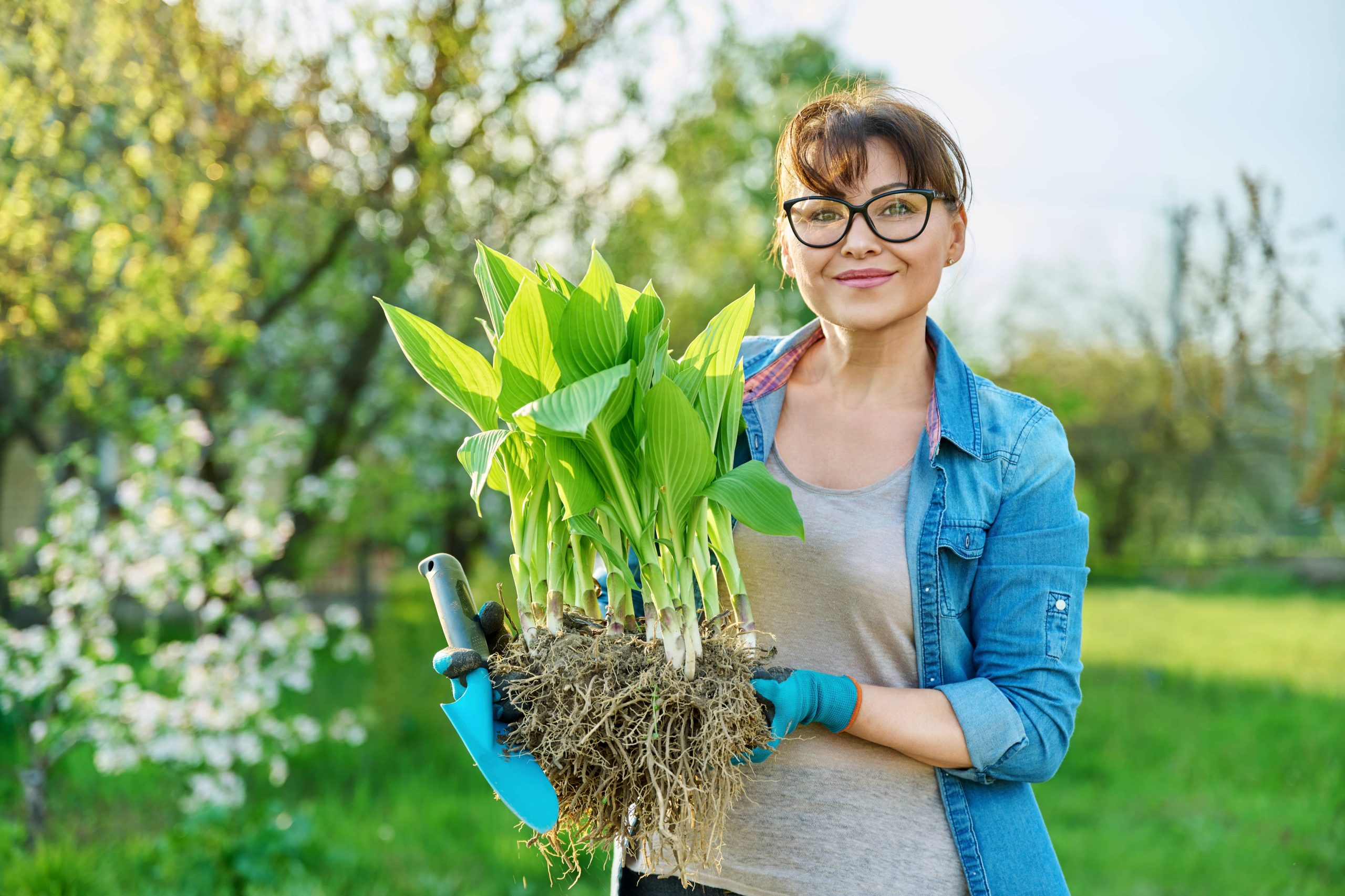 Pruning Methods Improve the Health and Appearance of Plants