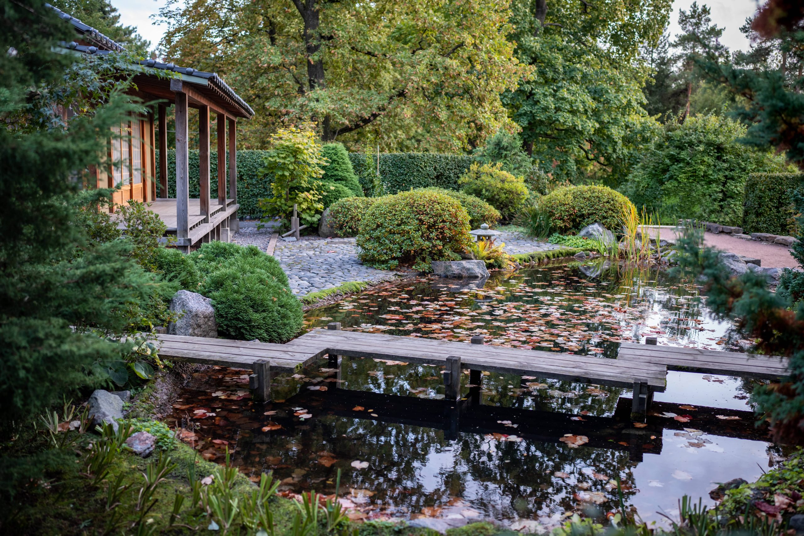 Reflective Surfaces in Garden Design Enhance Calmness