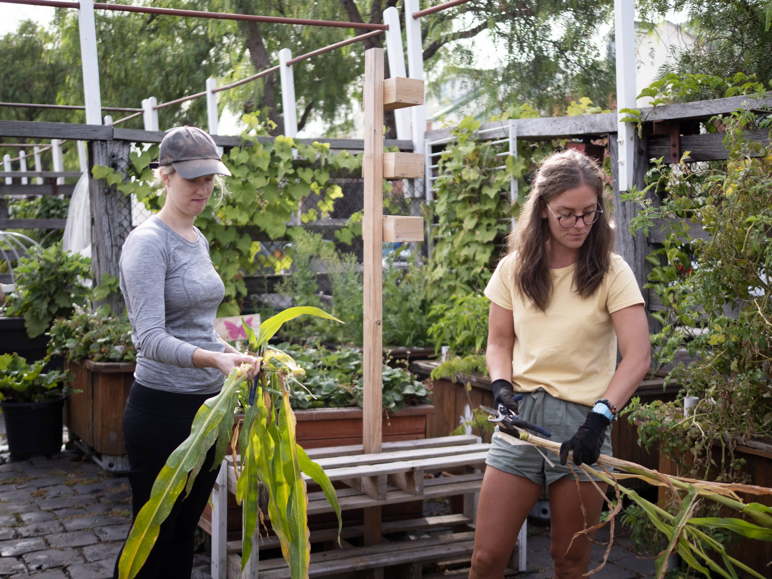 Selecting the Ideal Routes for a Tranquil Garden