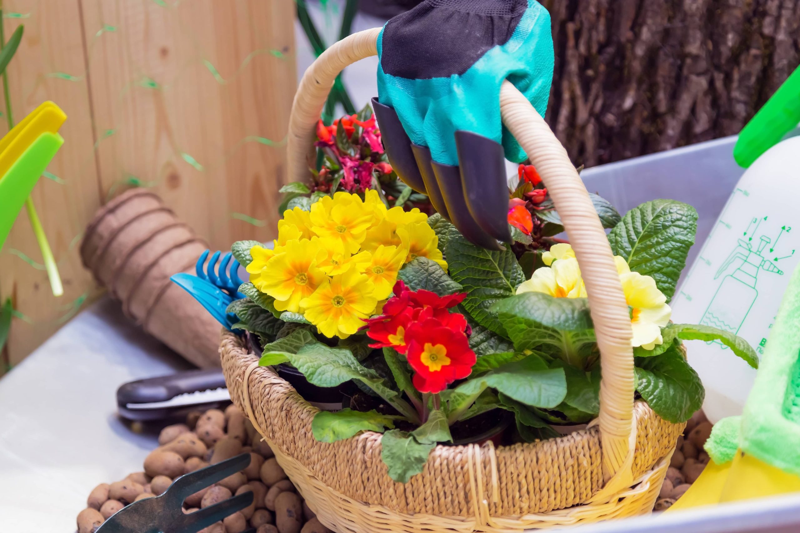 Styling Your Dining Room with Indoor Plants: Bringing Nature Indoors