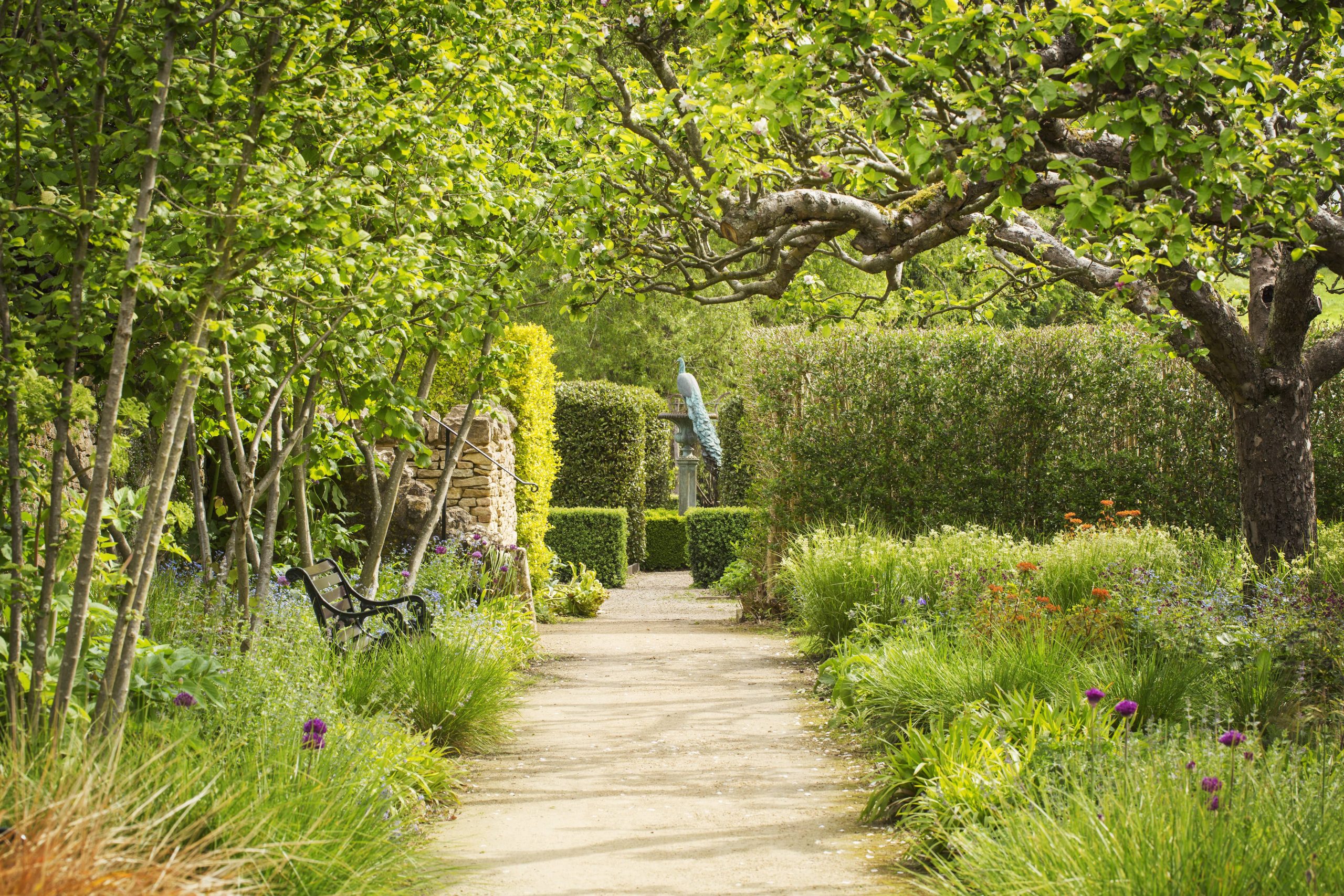 The Ten Best Tranquil Garden Designs for Peaceful Living