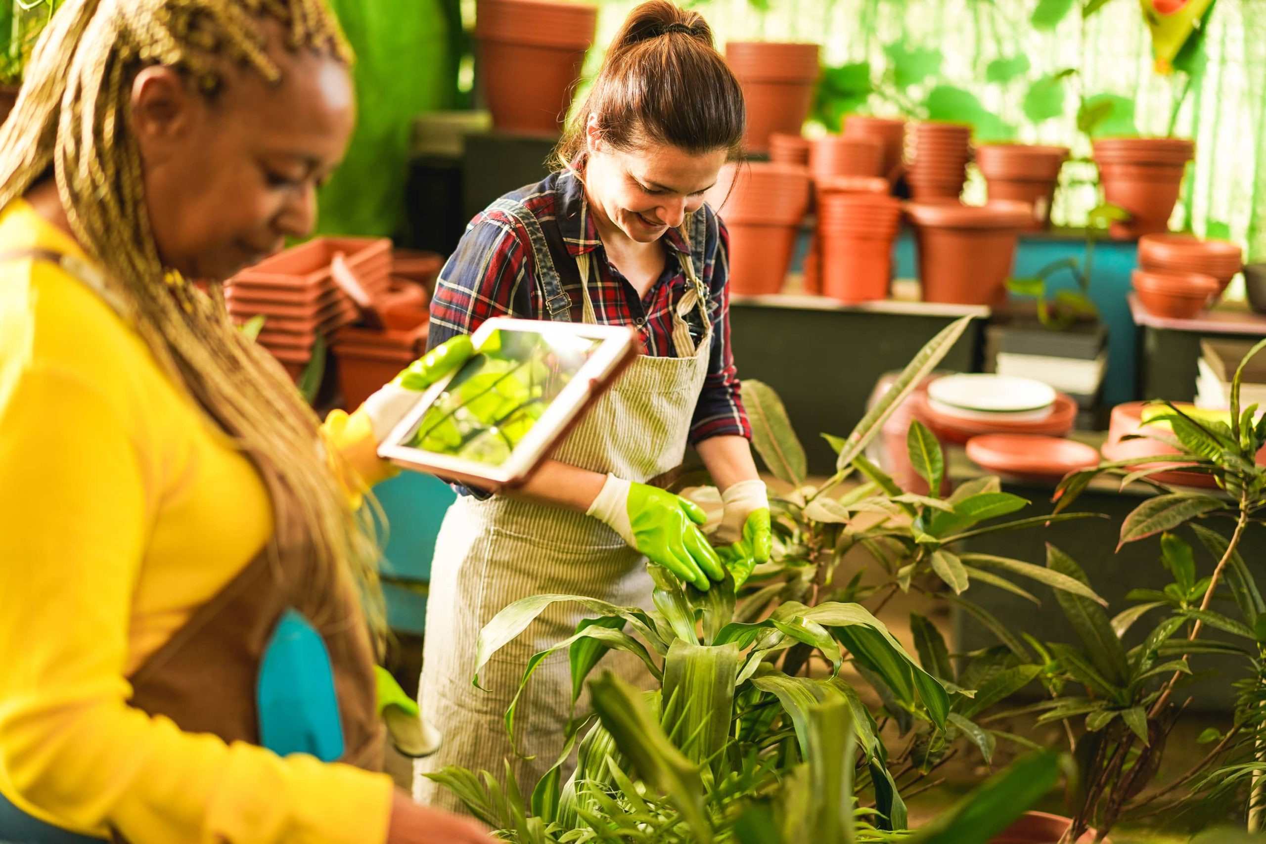 Tips and Techniques for Winterizing Your Garden Plants