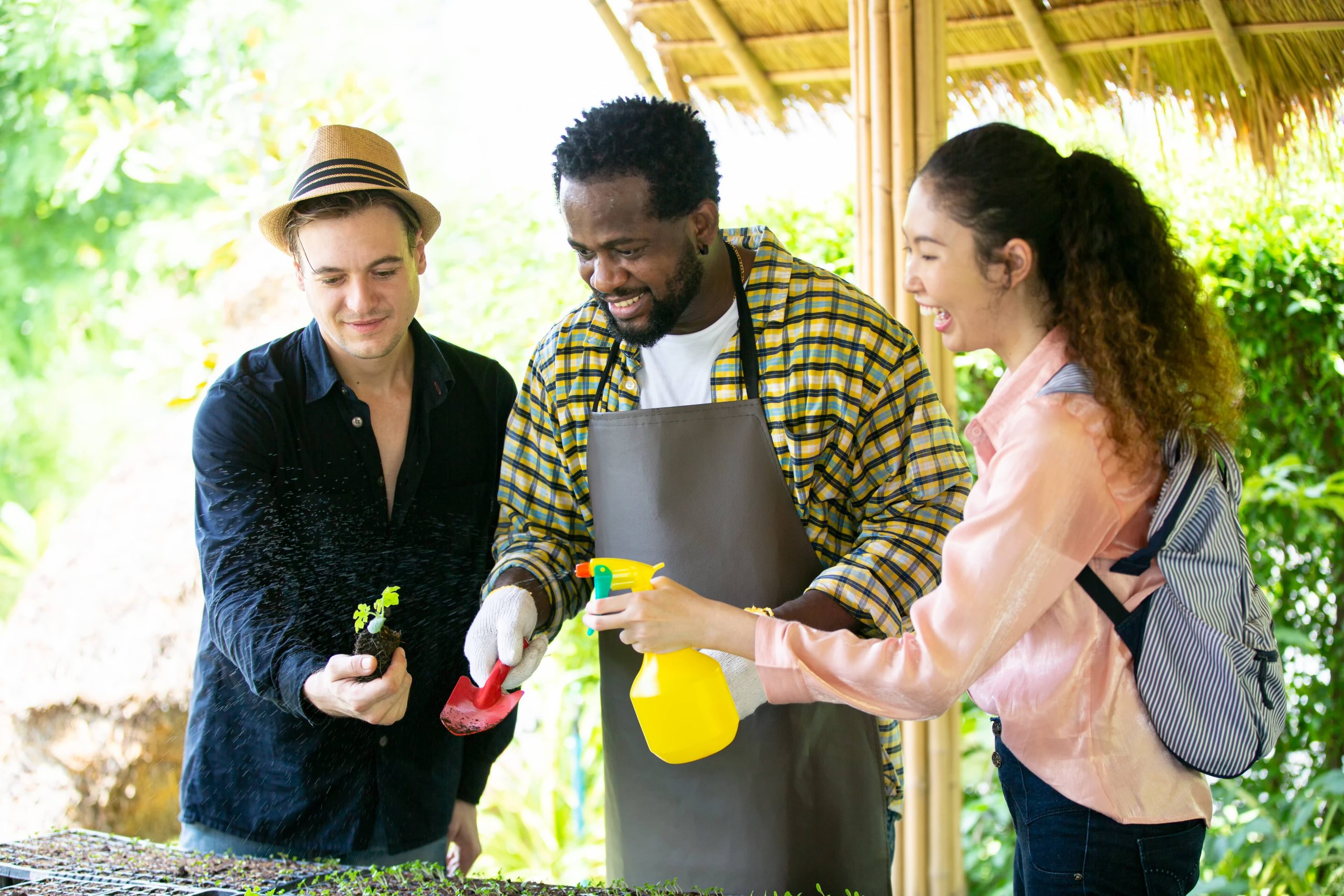 Tips for Year-Round Garden Beauty Through Seasonal Plant Care