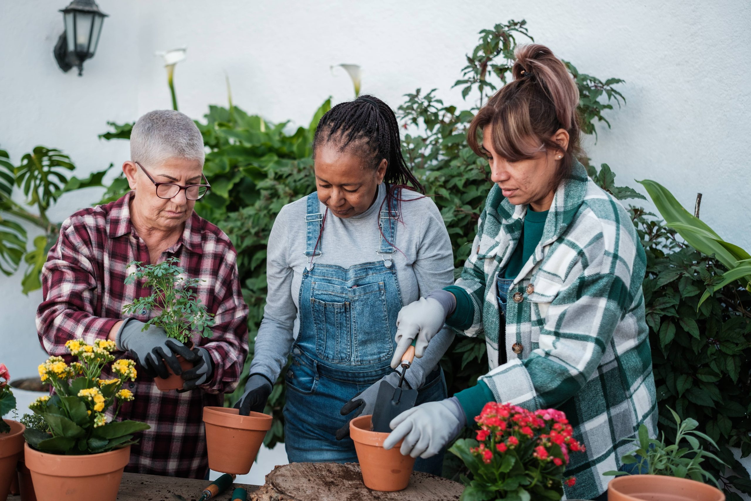 Title: Effective Strategies for Caring for Indoor Plants During Winter