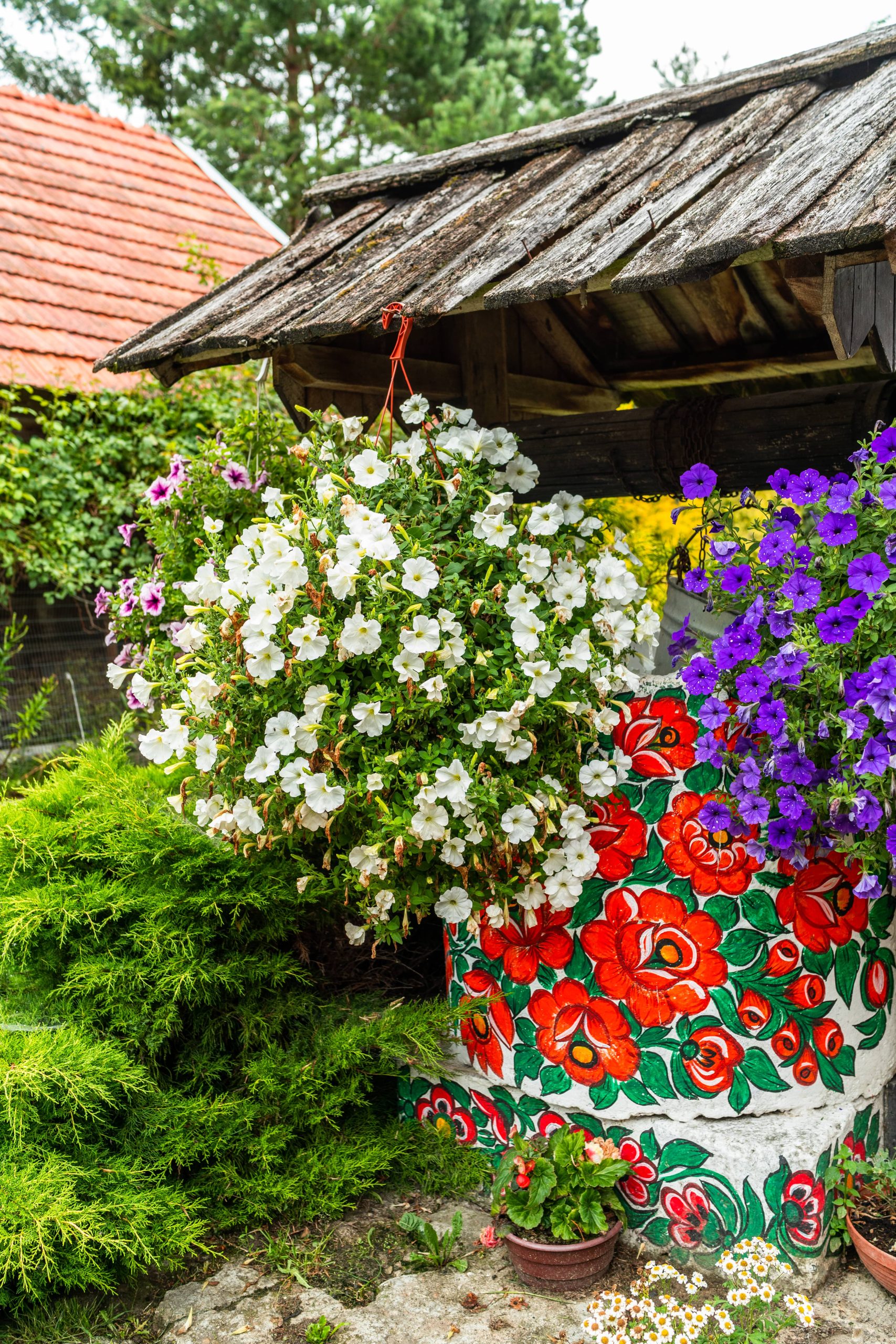 Transform Your Entrance into a Serene Space with Indoor Plants