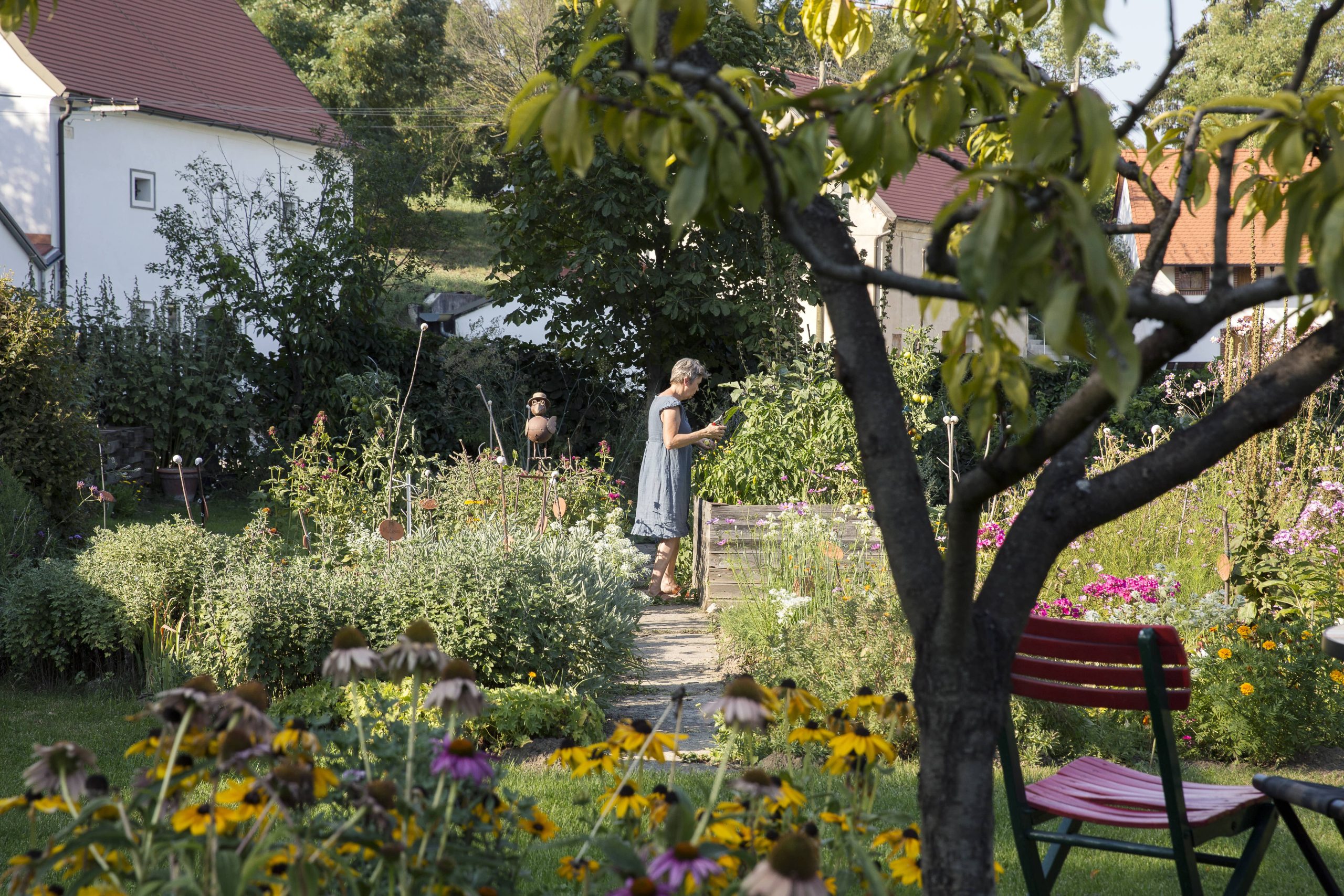 Vertical Gardens Enhance Your Landscape by Adding Depth and Serenity